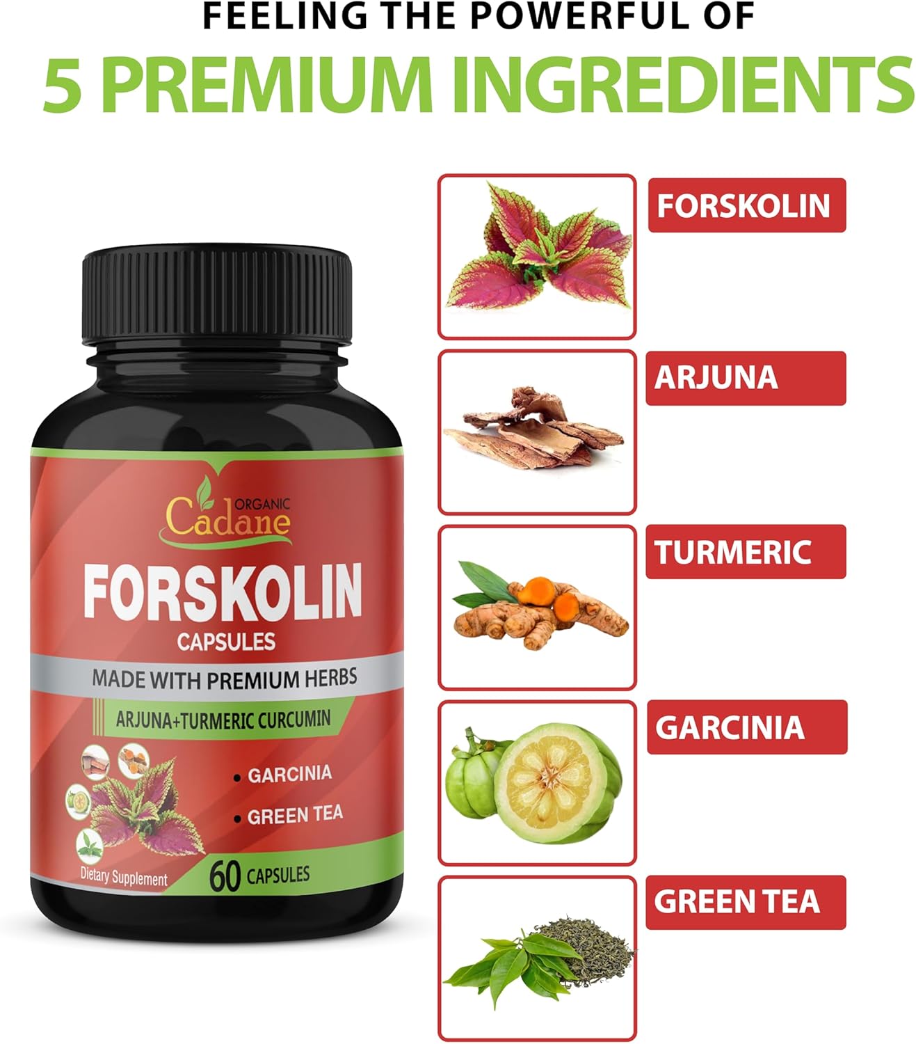 2-pack-organic-forskolin-supplements-capsules-with-turmeric-arjuna-garcinia-cambogia-green-tea---maximum-strength-coleus-forskohlii-extract---boost-energy-immune-system-support-2