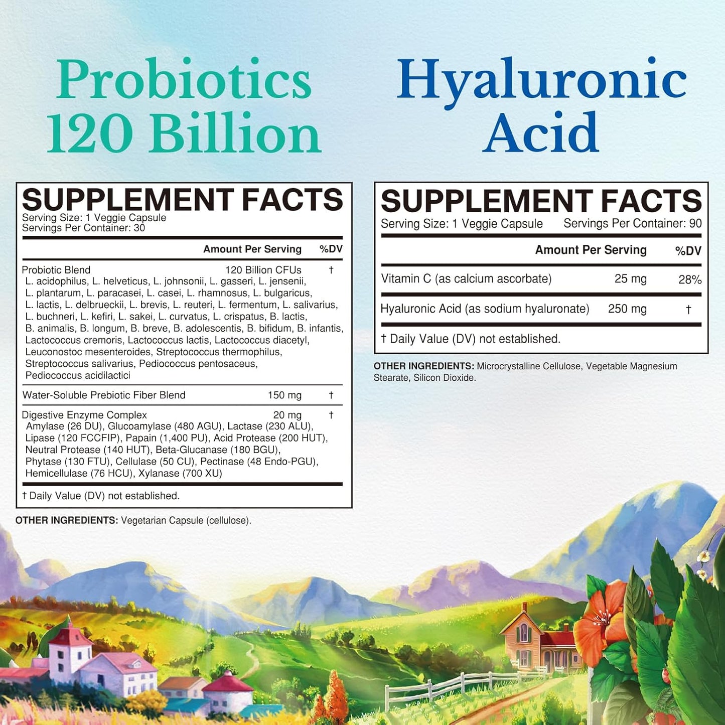 gut-skin-health-bundle-probiotics-120-billion-cfus-hyaluronic-acid-capsules---pack-of-2-30-90-count-2