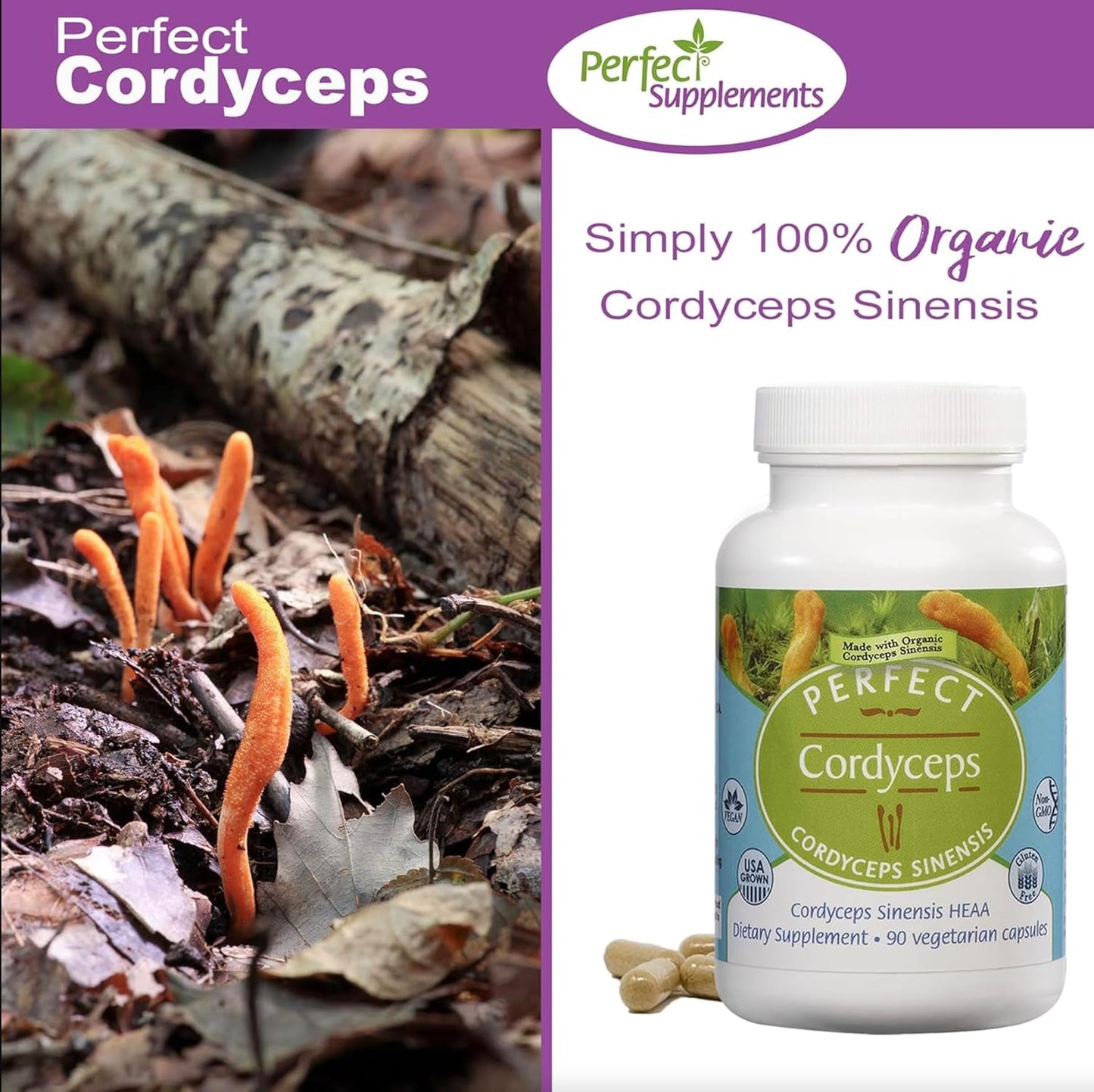Organic Cordyceps Herbal Supplement - 90 Veg Capsules - Boosts Energy, Endurance, Strength - Adaptogenic Formula by Perfect Supplements - Espot.com.au
