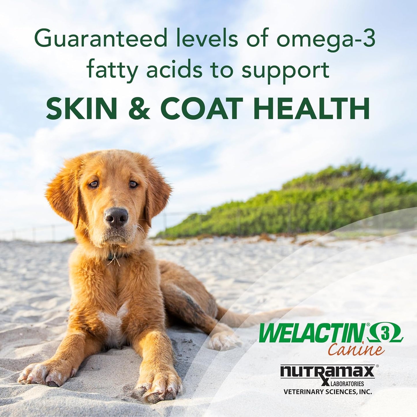 nutramax-welactin-omega-3-fish-oil-liquid-supplement-for-dogs---skin-and-coat-health---16-ounce-bottle-4