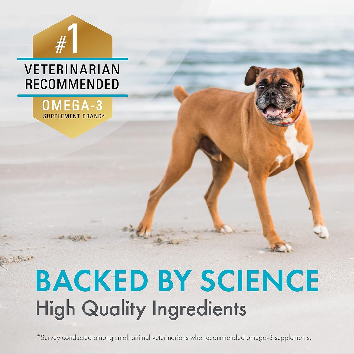 nutramax-welactin-daily-omega-3-soft-chews-for-dogs-60ct---skin-coat-health-supplement-for-overall-wellness-5