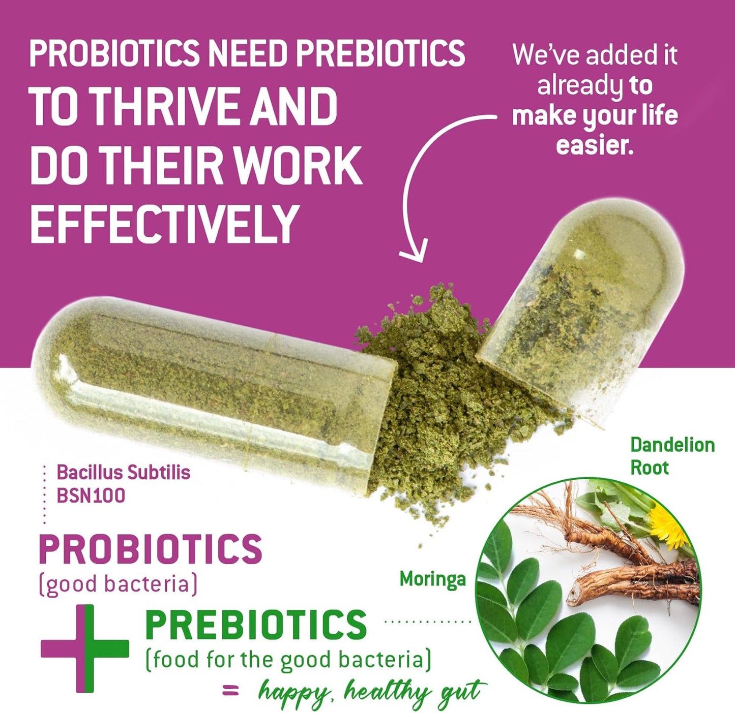 high-potency-bacillus-subtilis-spore-probiotic-with-prebiotic-for-gut-health---270-vegetarian-capsules-6-billion-cfu---family-microbiome-support-4