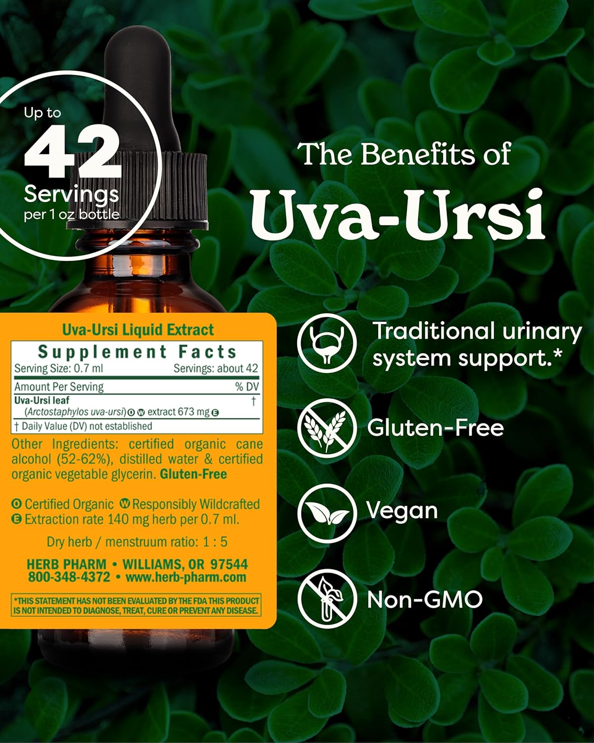 herb-pharm-uva-ursi-liquid-extract---4-oz-bottle-for-urinary-system-support-2