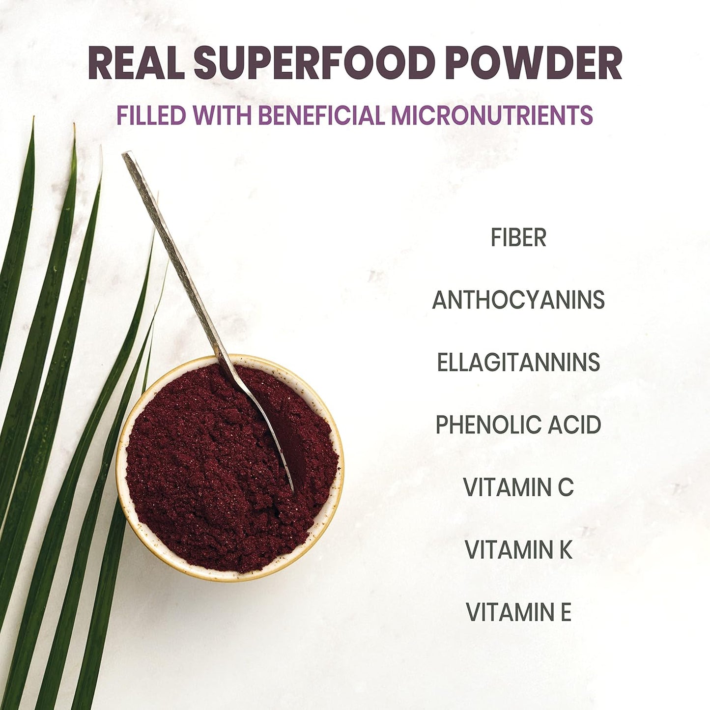 organic-jungle-powders-bundle-wild-bilberry-extract-black-red-raspberry-powders---34oz-bottle-5oz-bag---great-for-baking-smoothies-9