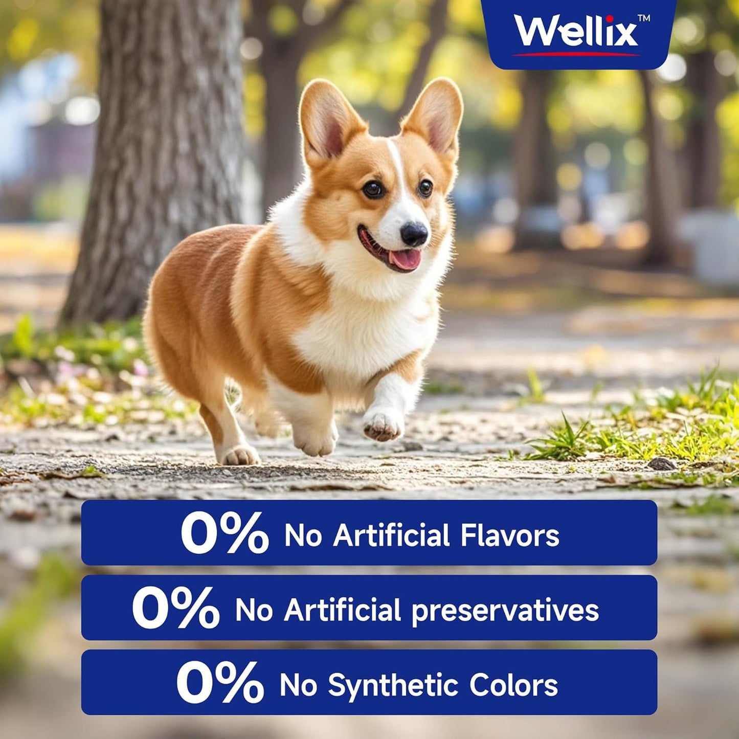 omega-3-fish-oil-supplement-for-dogs-supports-skin-and-coat-health-heart-joints-immune-system-high-epa-dha-formula-6