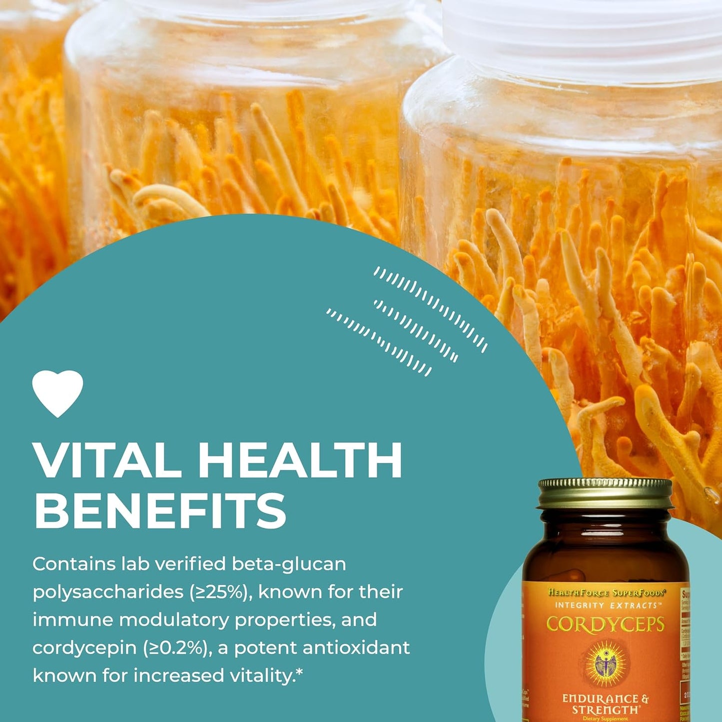 Vegan Cordyceps Extract Capsules - 90 Capsules by HealthForce SuperFoods - Espot.com.au