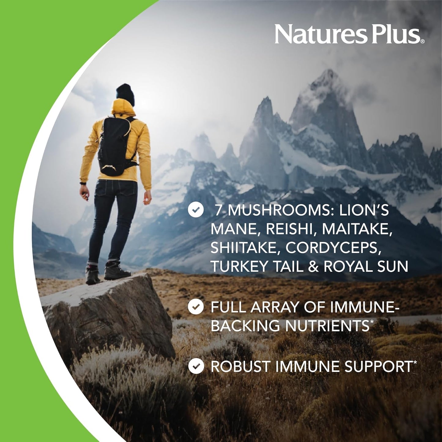 natures-plus-immune-mushroom-complex---60-capsules---seven-mushroom-blend---rich-in-micronutrients---vegan-gluten-free---30-servings-3