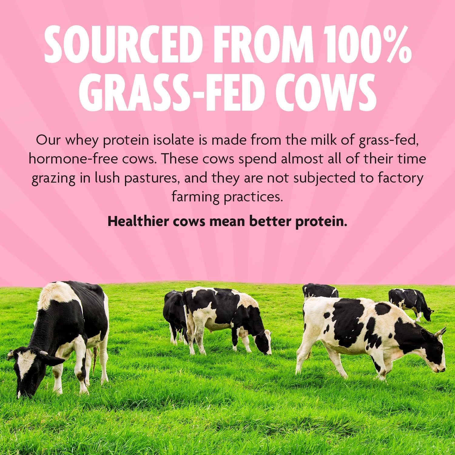 organic-grass-fed-whey-protein-powder-for-muscle-growth-recovery---strawberry-flavor-high-in-amino-acids-fast-absorption-formula---2-lbs-6