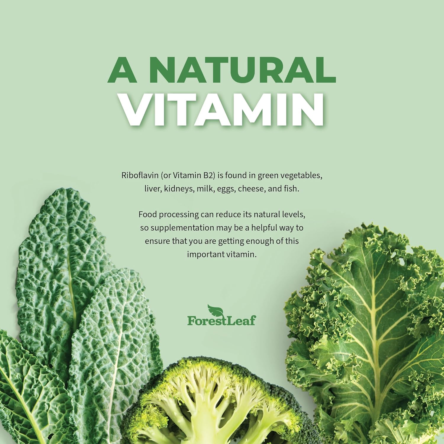 forestleaf-vitamin-b2-riboflavin-400mg-capsules---energy-skin-cellular-health-support---nervous-system-boost---non-gmo-gluten-free---90-count-x-2-pack---b2-vitamin-supplement-3