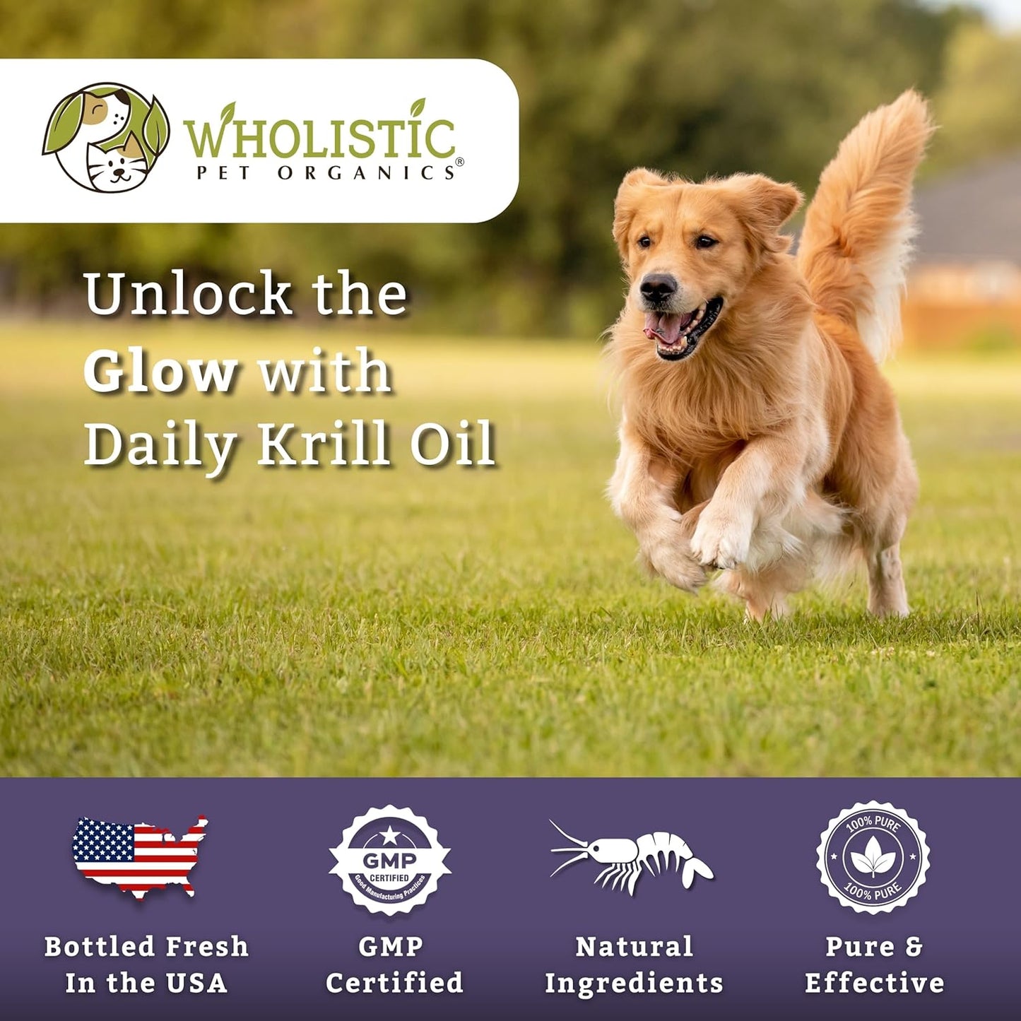 organic-krill-oil-for-dogs---skin-joint-health-support-omega-3-supplement-for-coat-allergy-relief---senior-dog-supplement-6