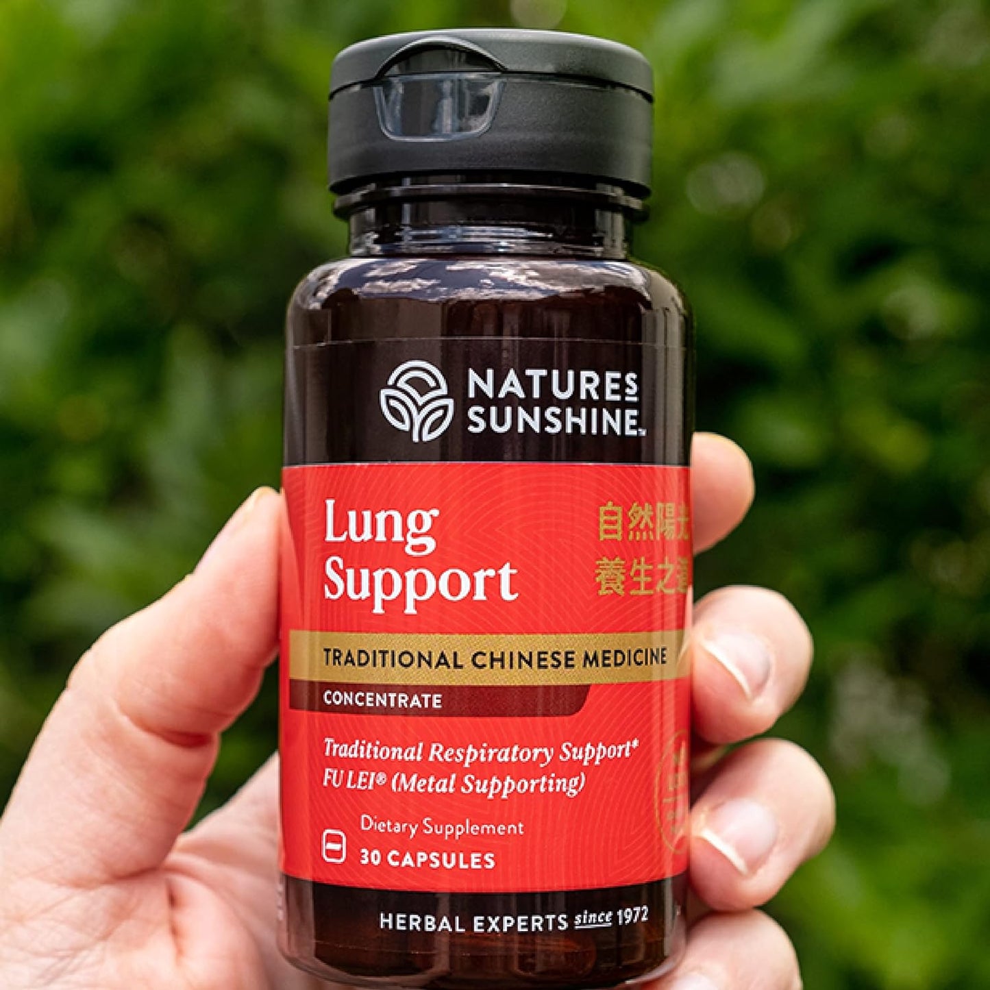 natural-lung-support-supplement---chinese-traditional-medicine-concentrate-for-respiratory-health---30-capsules-2