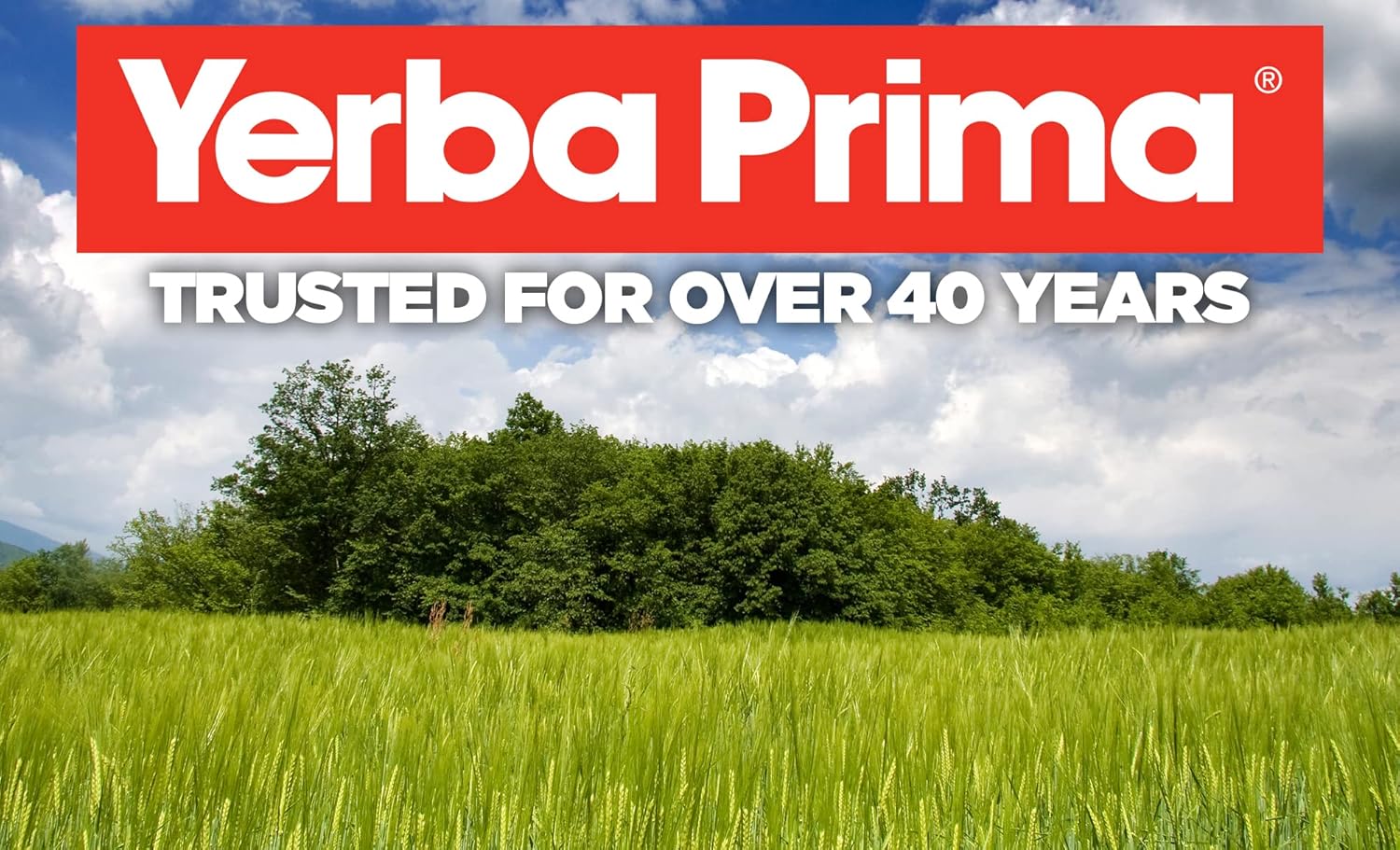 180-yerba-prima-prebiotics-colon-care-fiber-capsules---5-fiber-forms-fos-prebiotics---dietary-health-supplement-for-regularity-6