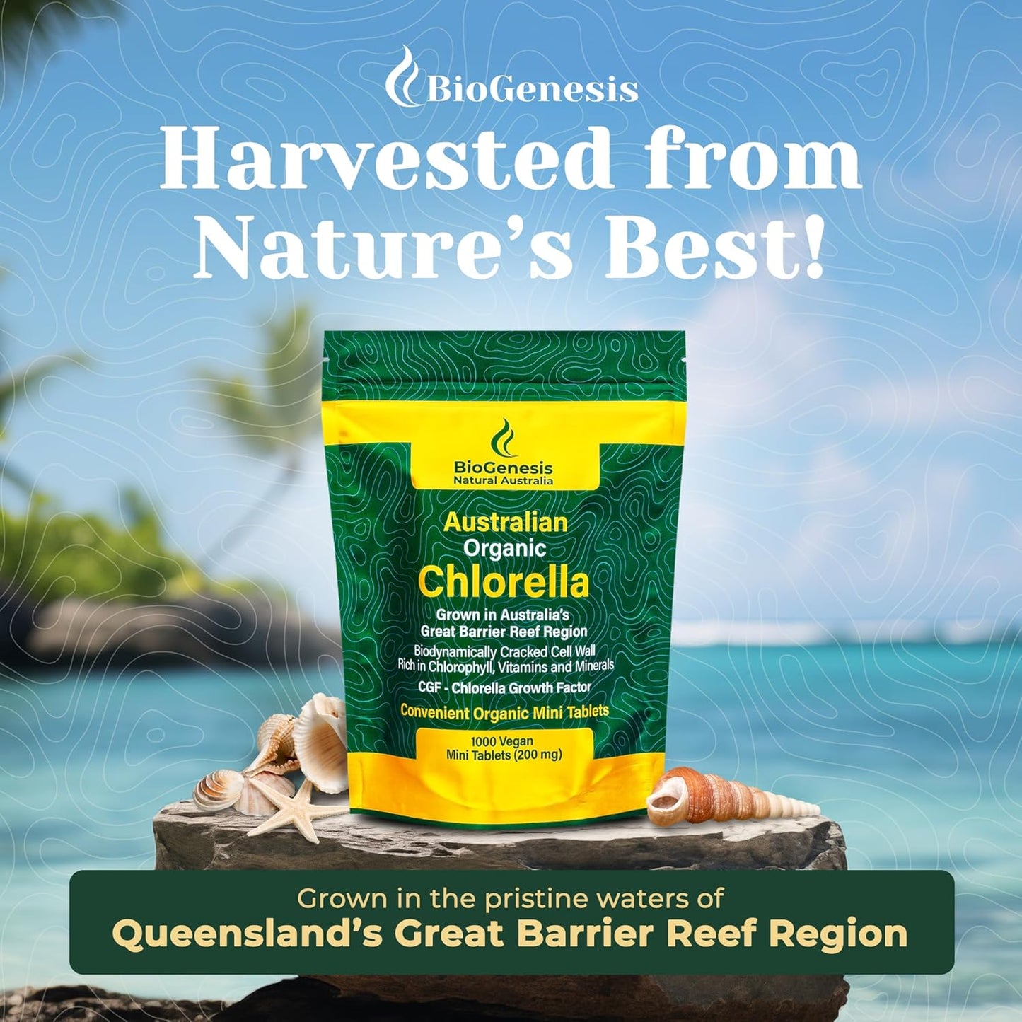 australian-biogenesis-organic-chlorella-tablets-nutrient-rich-vegan-supplement-with-vitamins-minerals-and-cgf-advanced-biodynamic-cracked-cell-wall-for-optimal-absorption-1000-tablets-3