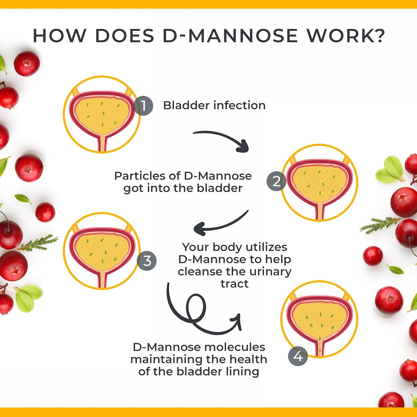 potent-d-mannose-cranberry-capsules-for-urinary-tract-support---1000mg-d-mannose-with-hibiscus-extract---promotes-healthy-bladder-control---120-capsules-4