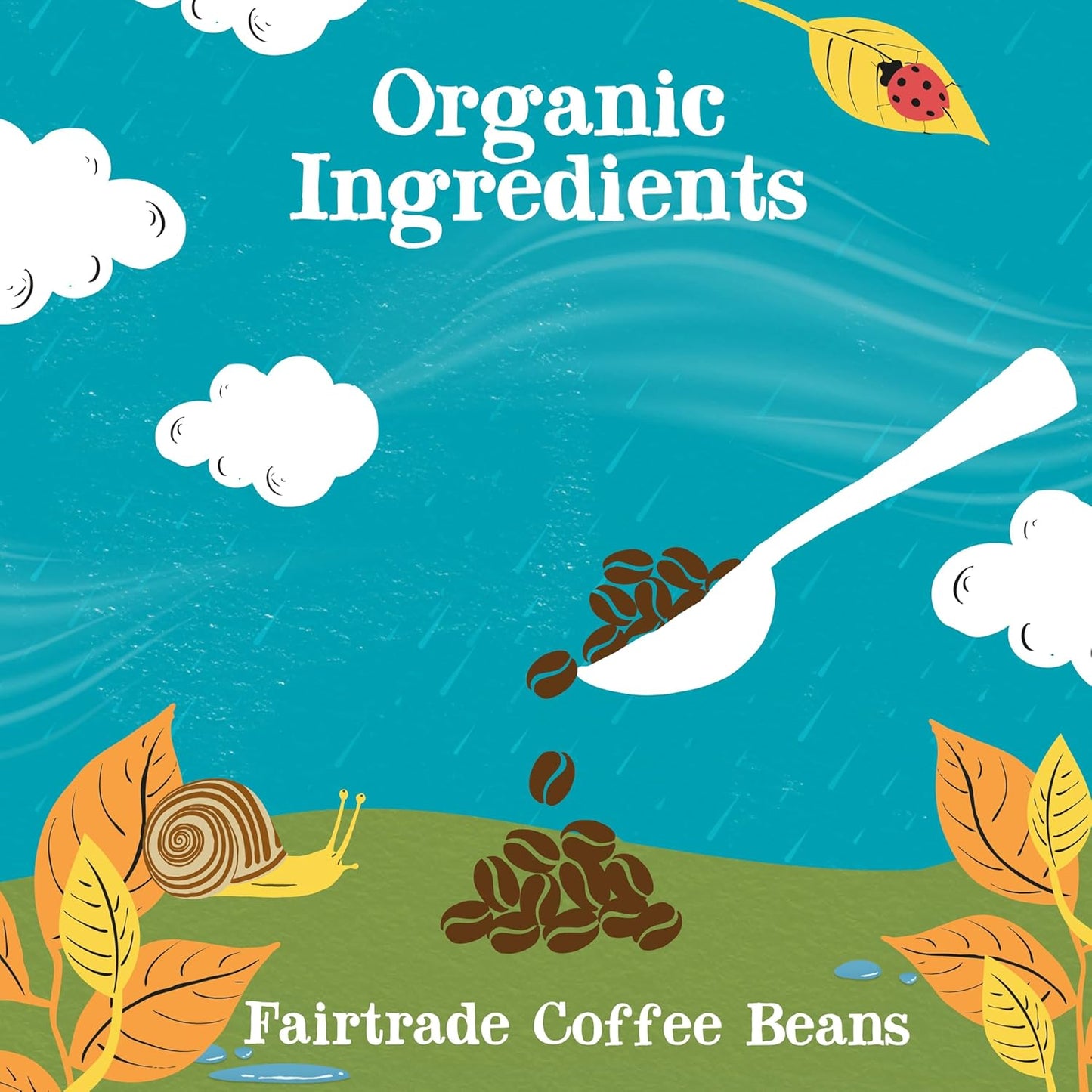 clipper-organic-instant-coffee-latin-american-medium-roast---fairtrade-freeze-dried-natural---100g-3