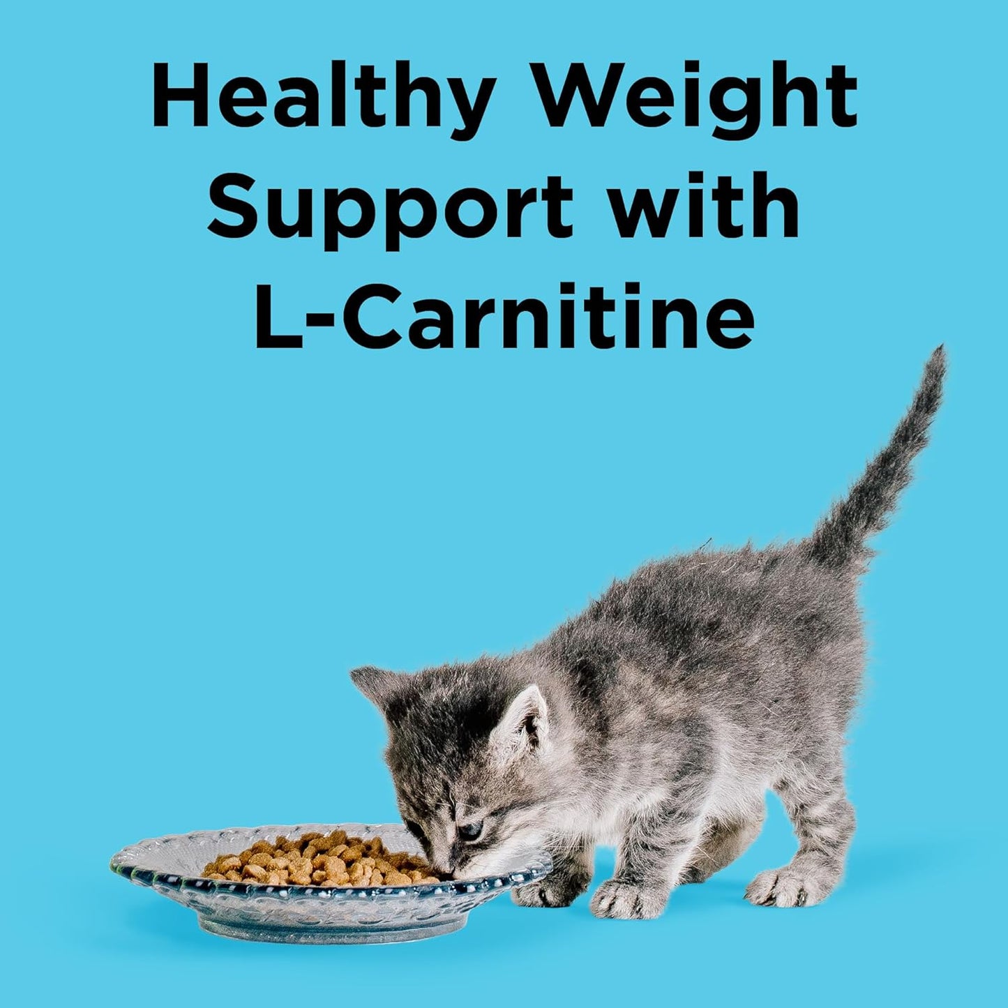 indoor-cat-health-chicken-salmon-recipe-dry-food---bixbi-liberty-3lb-3