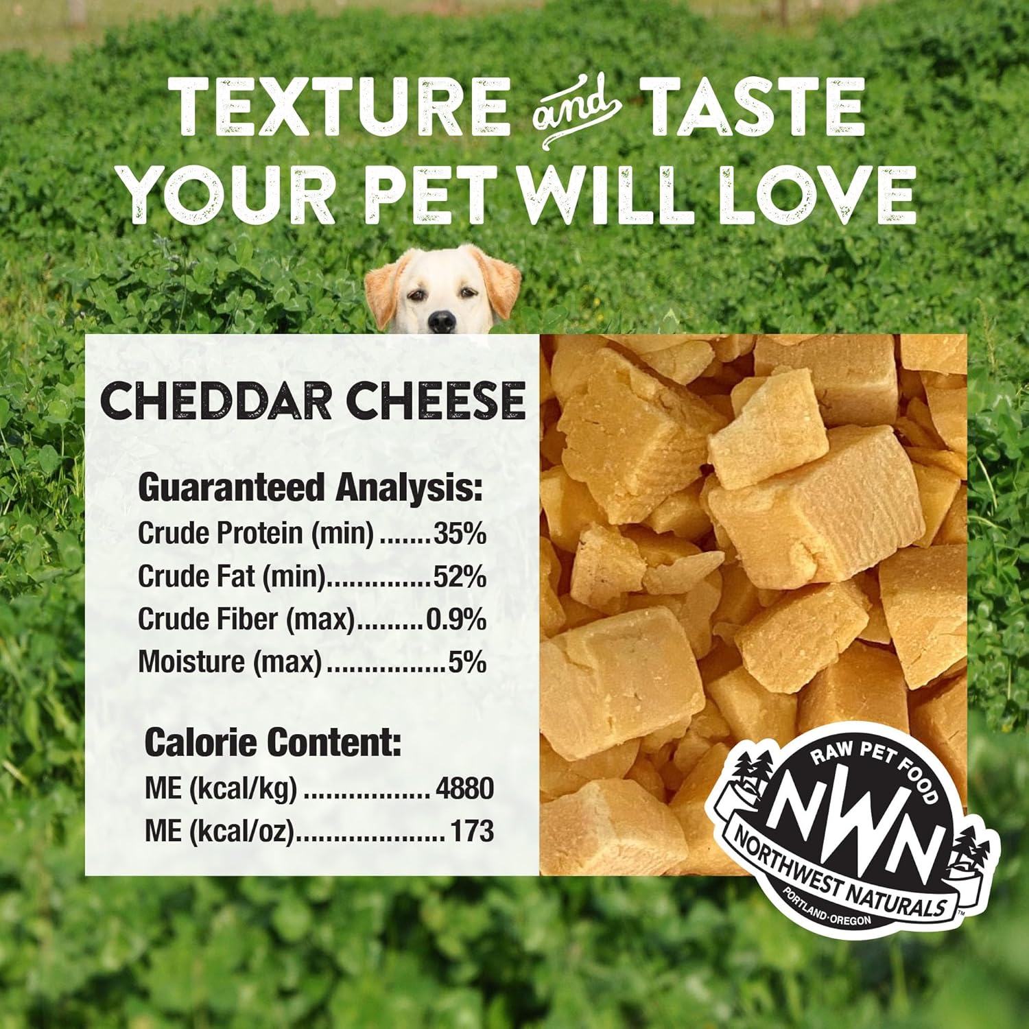 freeze-dried-cheddar-cheese-treats-for-dogs-and-cats---bite-sized-healthy-snacks---natural-human-grade-ingredients---6-oz-pack-of-3-3