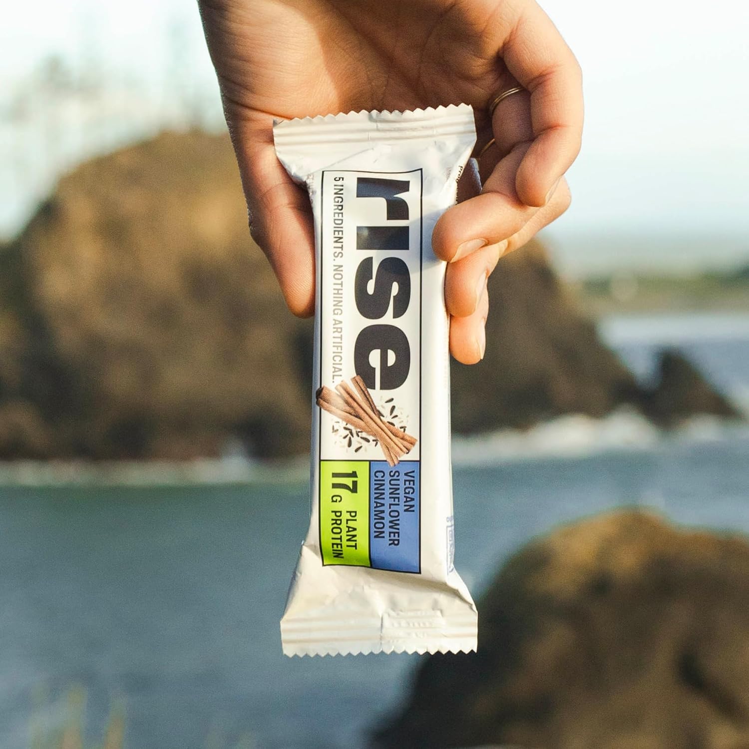 vegan-sunflower-cinnamon-protein-bar-rise-pea-protein-breakfast-snack-17g-protein-non-gmo-gluten-free-soy-free-5-whole-food-ingredients-9