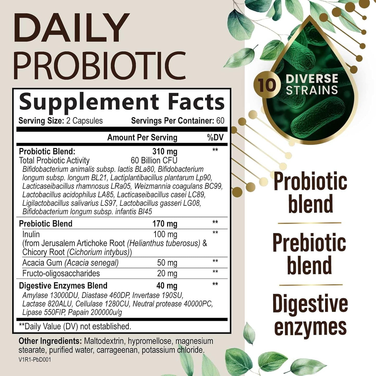 high-potency-probiotic-and-prebiotic-supplement-for-digestive-health---60-billion-cfu-capsules-with-10-strains-and-digestive-enzymes---supports-gut-and-immune-health---120-capsules-for-men-and-women-2