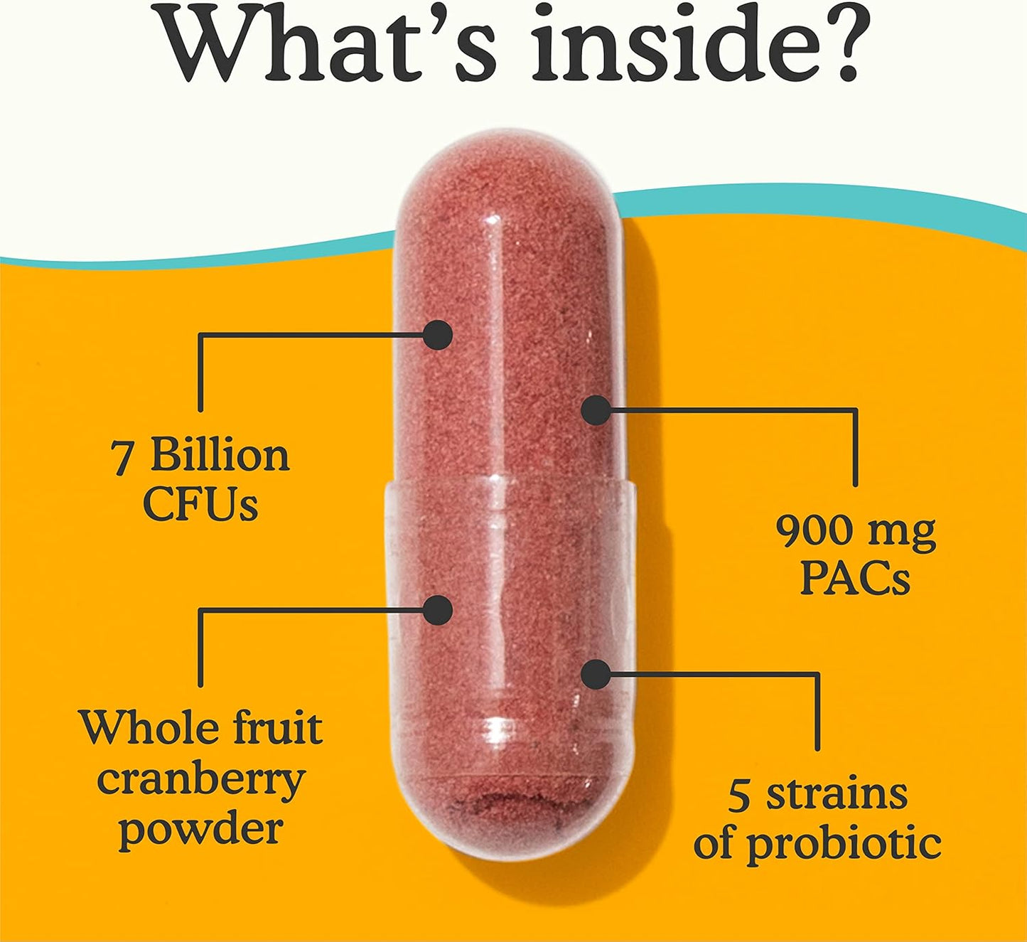 cranberry-probiotic-capsules-for-women-uti-defense---60-capsules-1-bottle-3