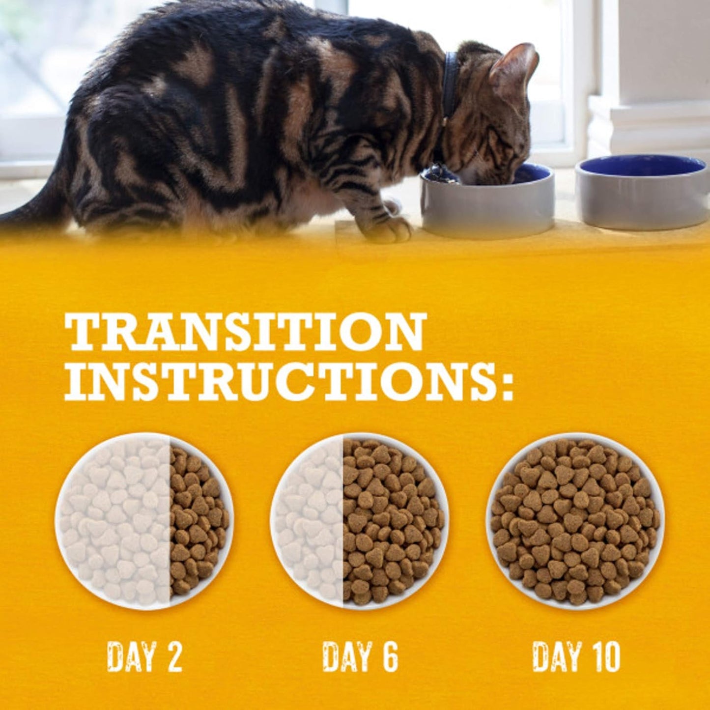 5-lb-bag-of-purina-beyond-grain-free-white-meat-chicken-and-egg-recipe-natural-cat-food---high-protein-dry-formula-12
