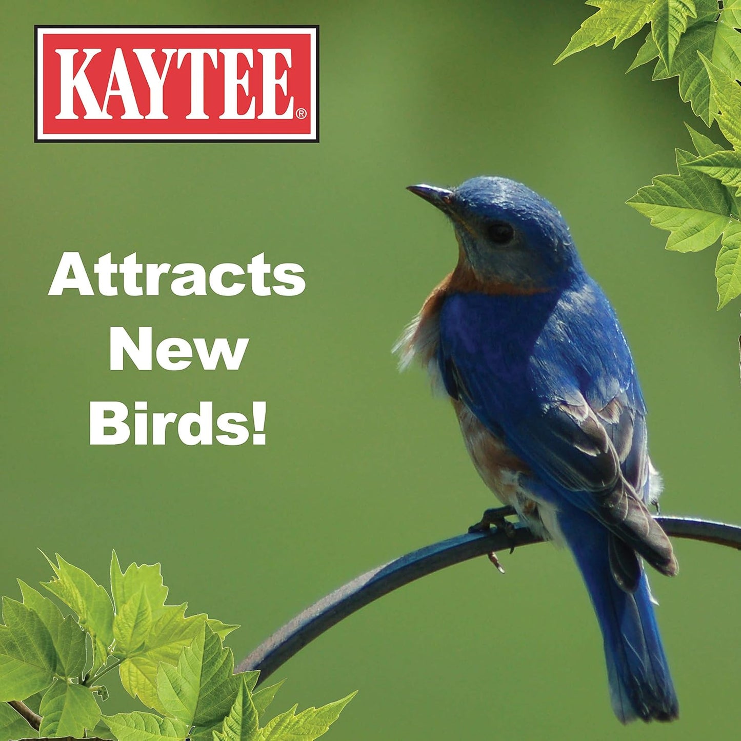 kaytee-wild-bird-food-mealworms-for-bluebirds-wrens-robins-chickadees-woodpeckers-cardinals-and-chickens---35-oz-8