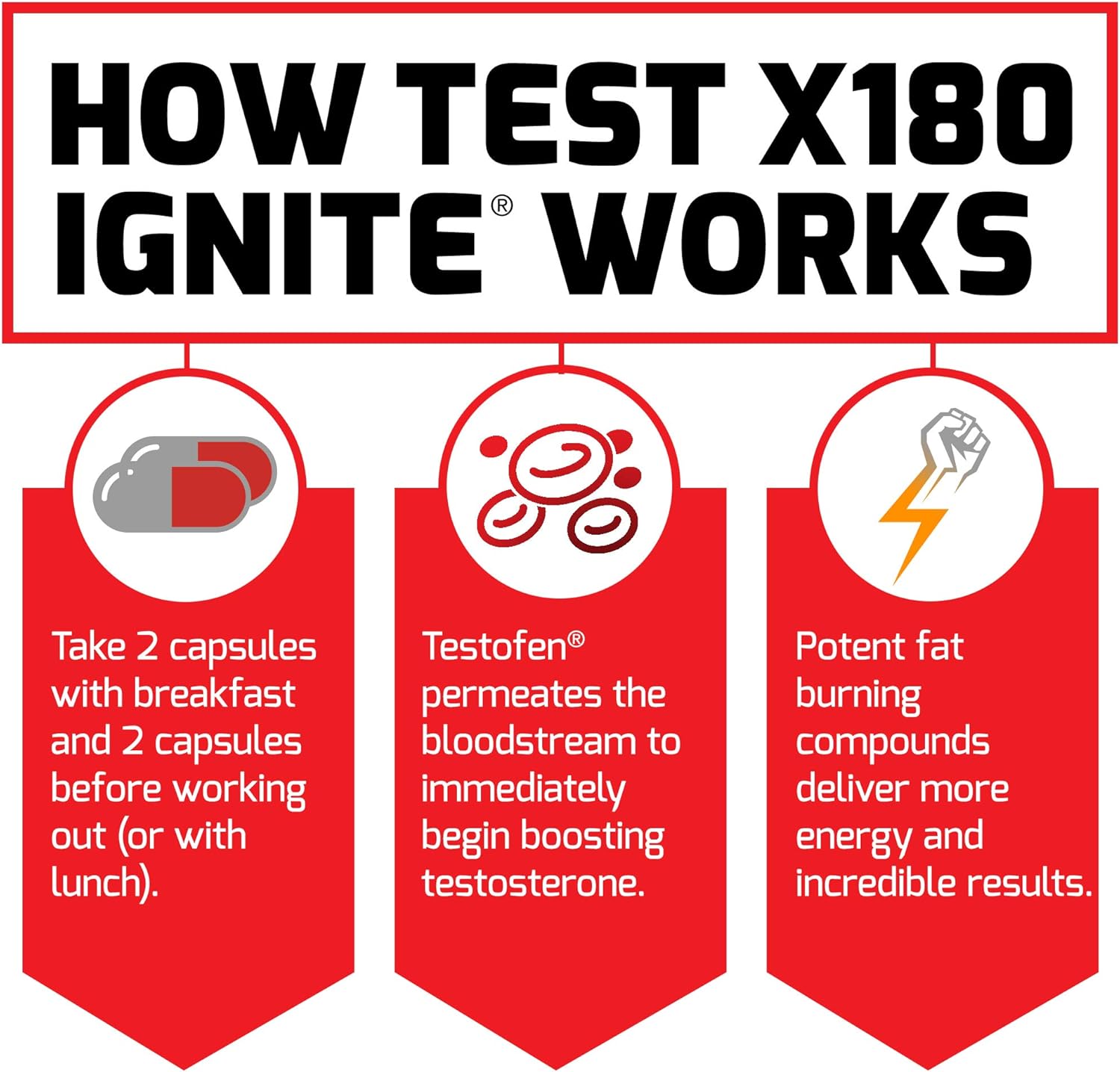 test-x180-ignite-total-testosterone-booster-for-men---build-lean-muscle-boost-energy-performance---120-count---includes-fenugreek-seed-green-tea-extract-6