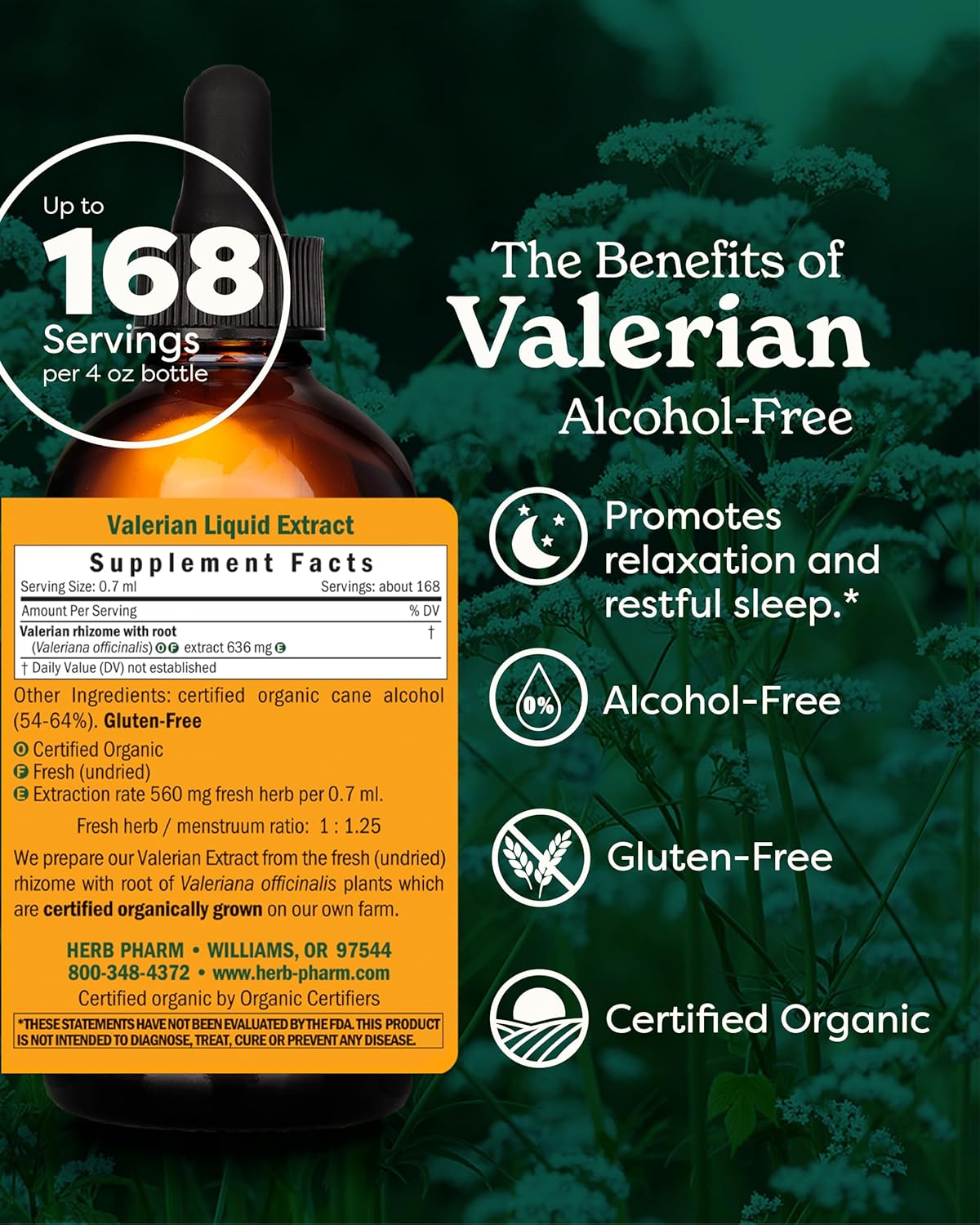 certified-organic-valerian-root-liquid-extract---relaxation-restful-sleep---alcohol-free-glycerite---4-oz-2