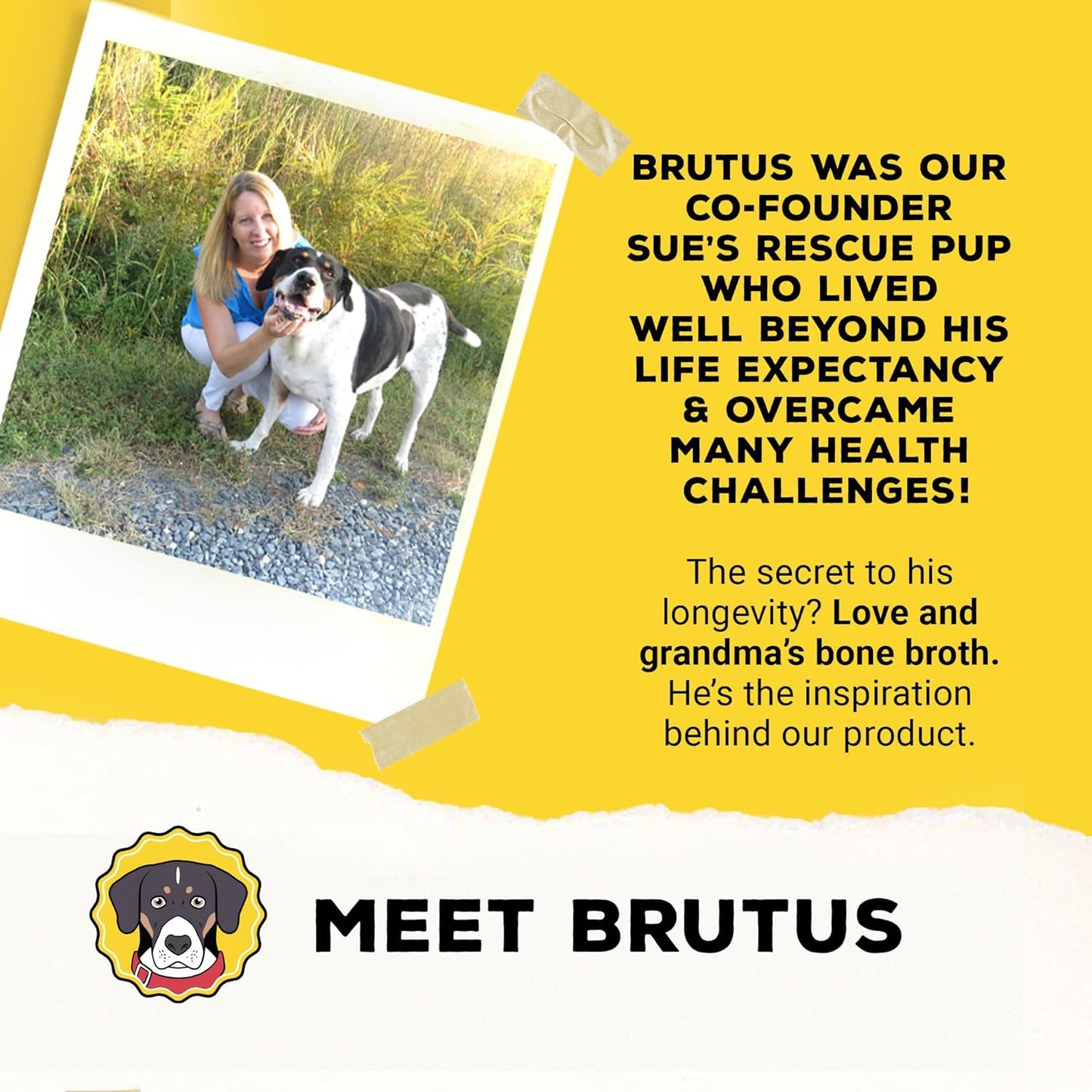 brutus-chicken-bone-broth-for-dogs---all-natural-broth-with-chondroitin-glucosamine-turmeric---human-grade-dog-food-topper---pack-of-2-7