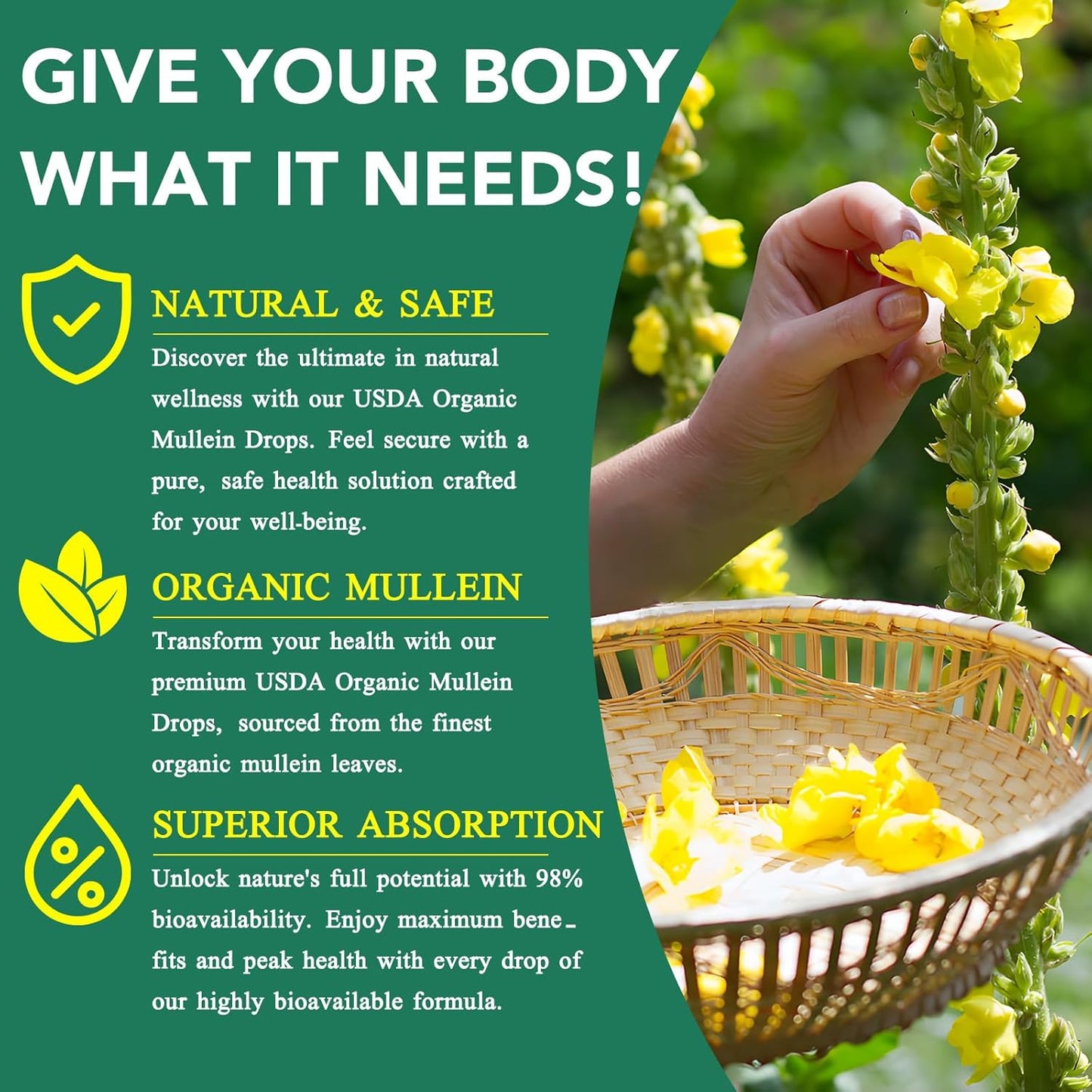 mullein-leaf-extract-drops---2-fl-oz---natural-lung-cleanse-respiratory-support---boosts-immunity-digestive-wellness---chlorophyll-supplement-7