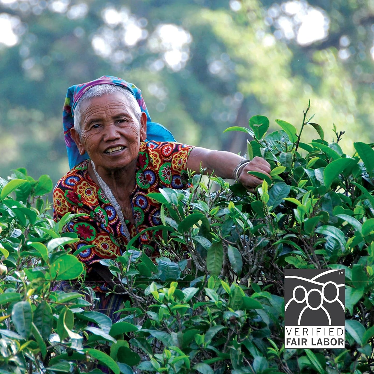 organic-aged-pu-erh-tea-brick---22-oz-loose-leaf-yunnan-black-tea---caffeinated---makes-48-pots-5