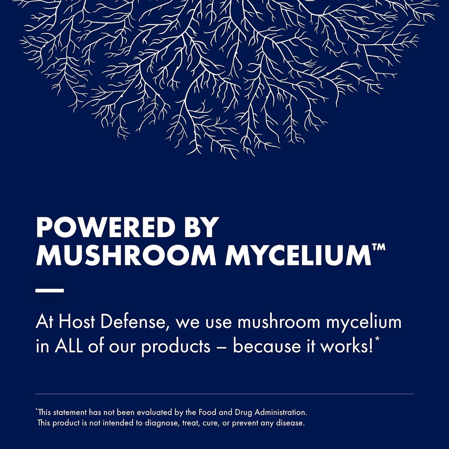agarikon-mushroom-capsules---immune-system-support-supplement---boosts-immune-functions-cell-strength---herbal-dietary-supplement---60-capsules-6
