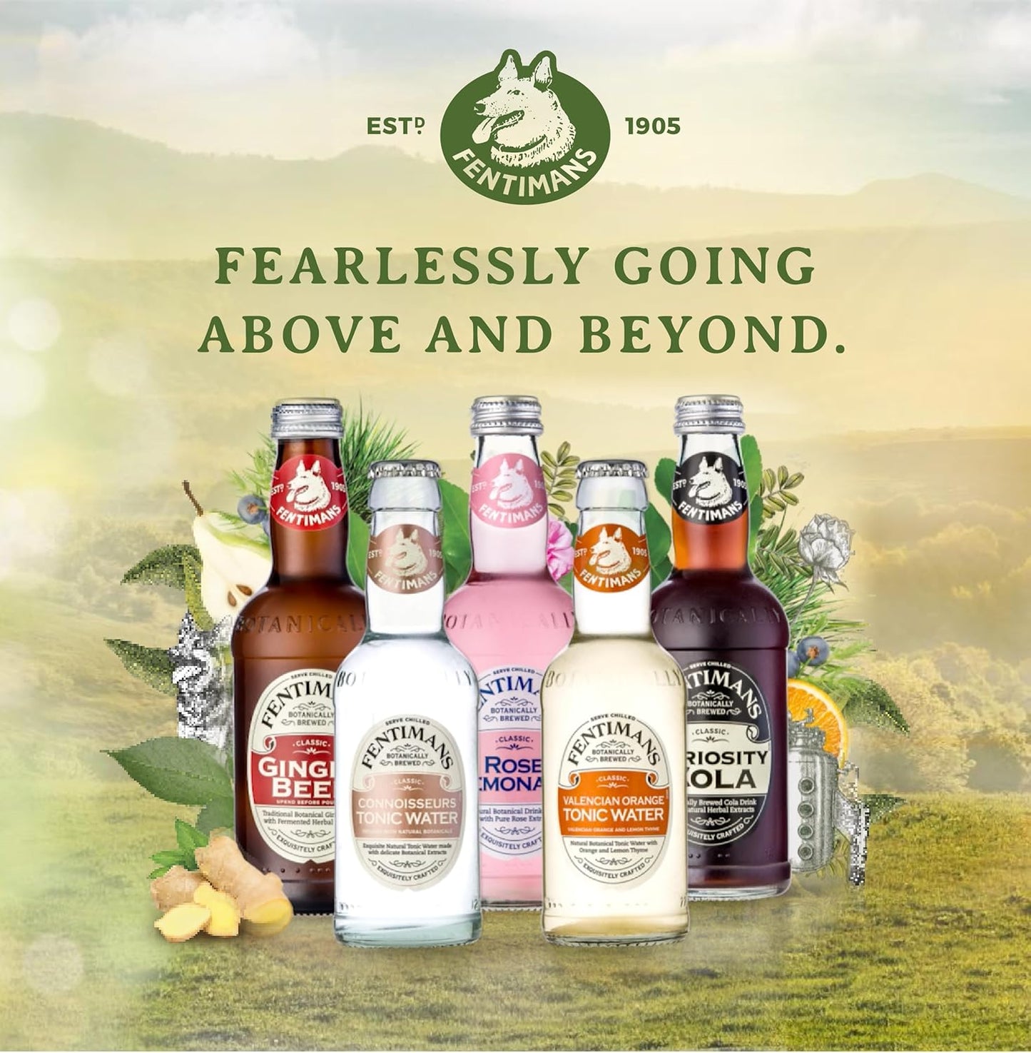 fentimans-sparkling-victorian-lemonade---all-natural-craft-soda-lemon-sparkling-water-mixer---93-fl-oz-pack-of-12-6