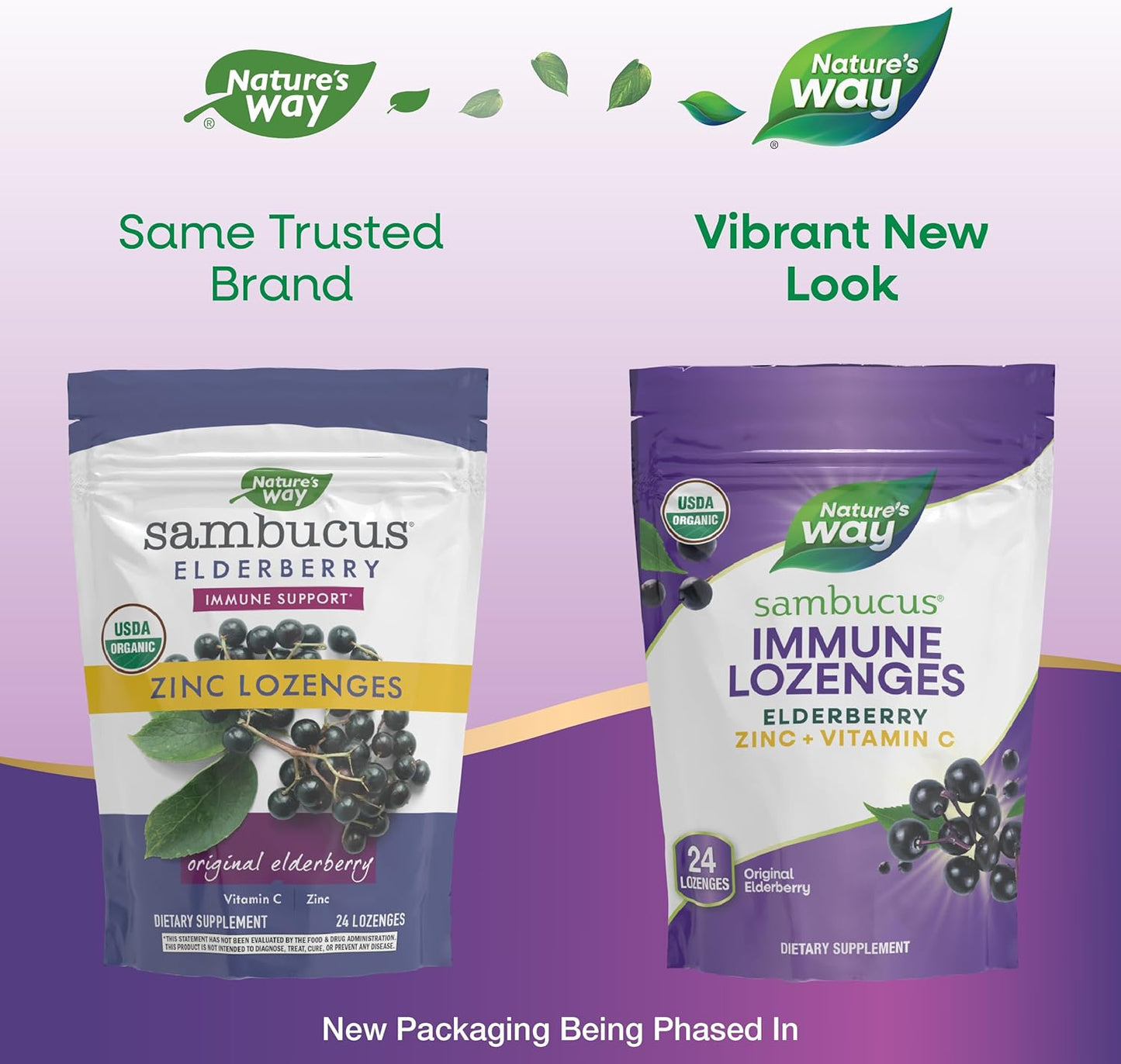 Organic Elderberry & Vitamin C Zinc Lozenges - Vegan & Gluten Free - 72 Lozenges Pack - Nature's Way - Espot.com.au