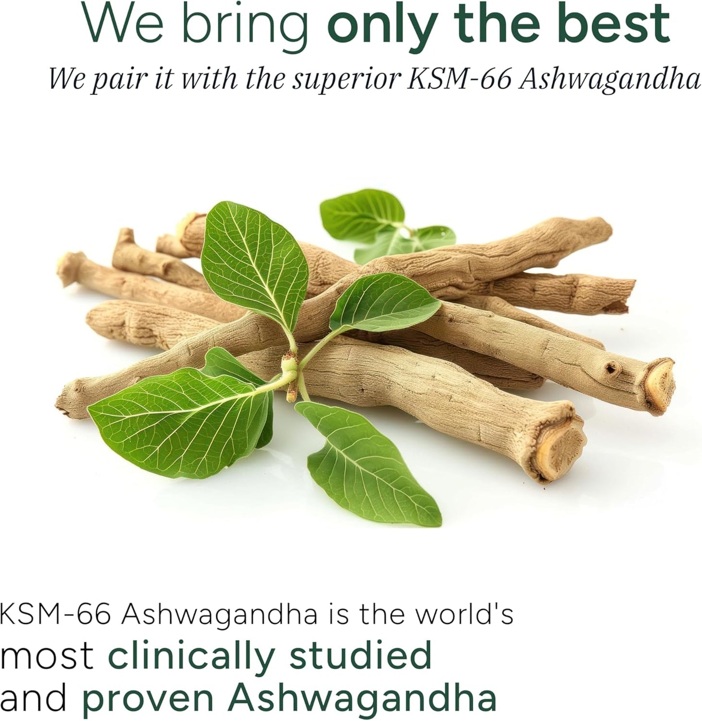 organic-sea-moss-gummies-with-black-seed-oil-ashwagandha-and-92-minerals-lab-tested-non-gmo-1600-mg---60-gummies-for-men-and-women-8