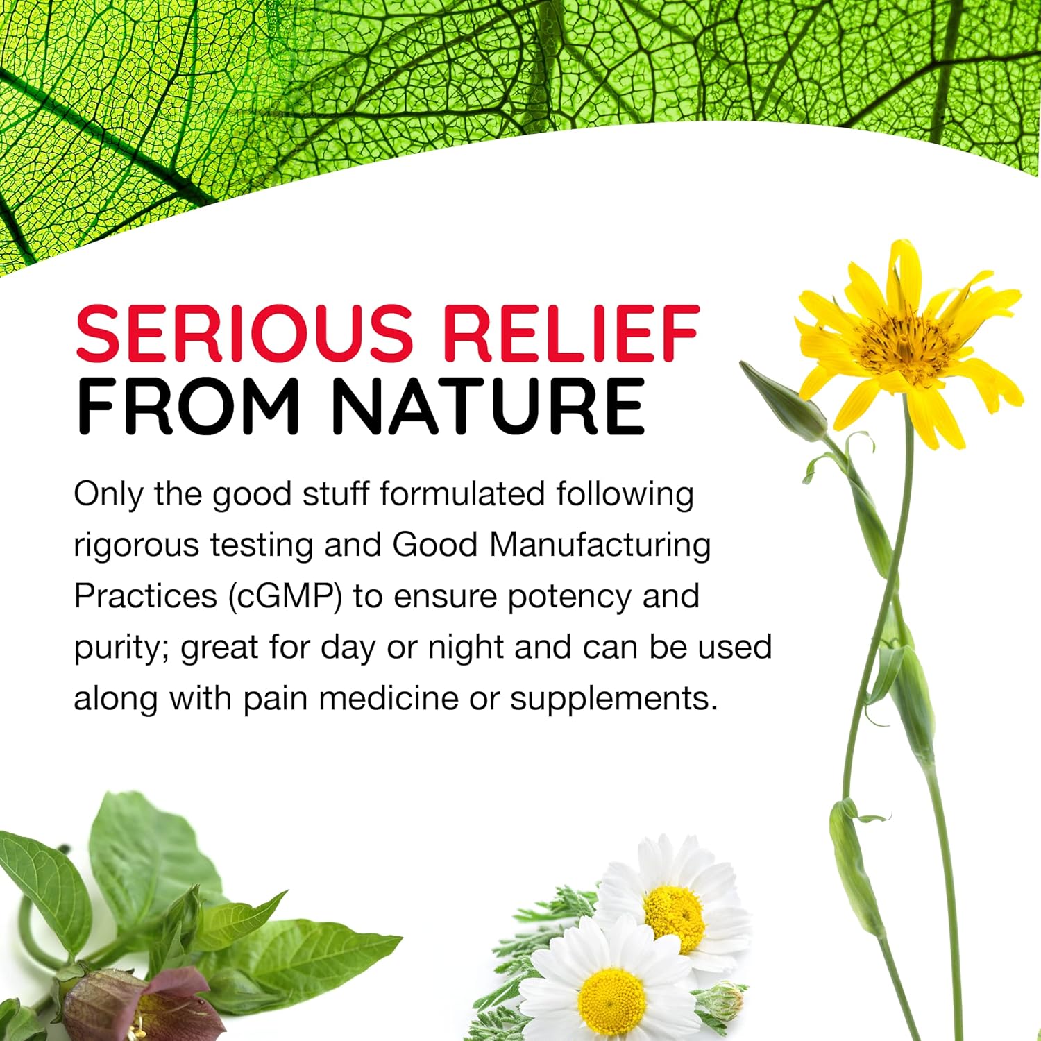 t-relief-arnica-tablets-for-back-pain-joint-soreness-muscle-aches-stiffness---fast-acting-natural-relief-with-12-actives---100-tablets-3-pack-5
