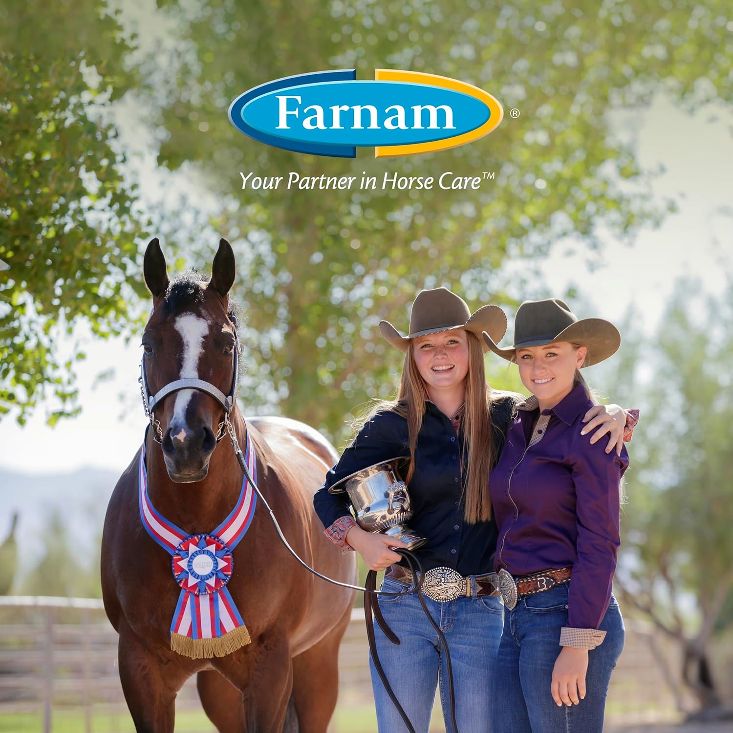 farnam-quietex-show-calming-paste-for-nervous-horses-in-the-show-ring---30-cc-8