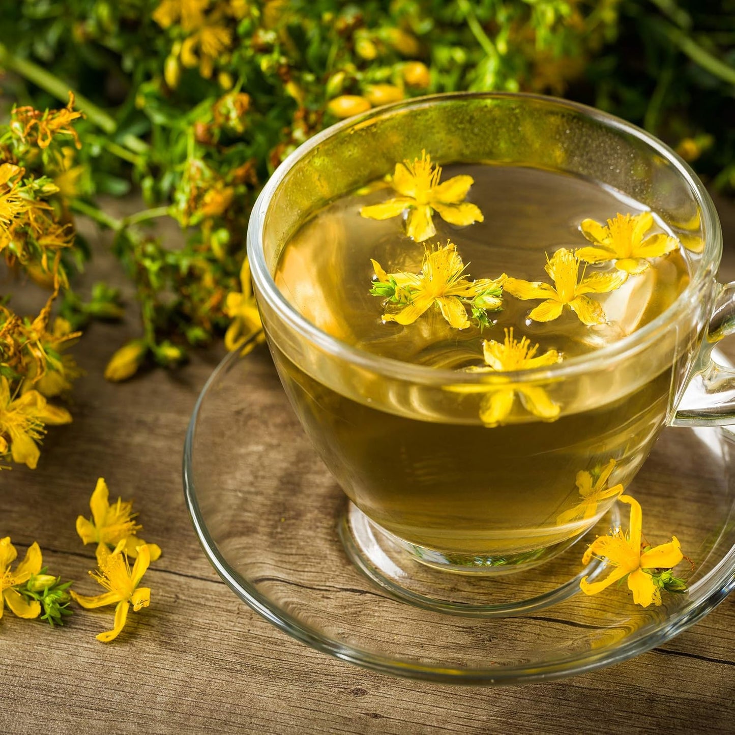 1000-seeds-of-yellow-st-johns-wort-perennial-hypericum-perforatum-for-planting---outsidepride-7