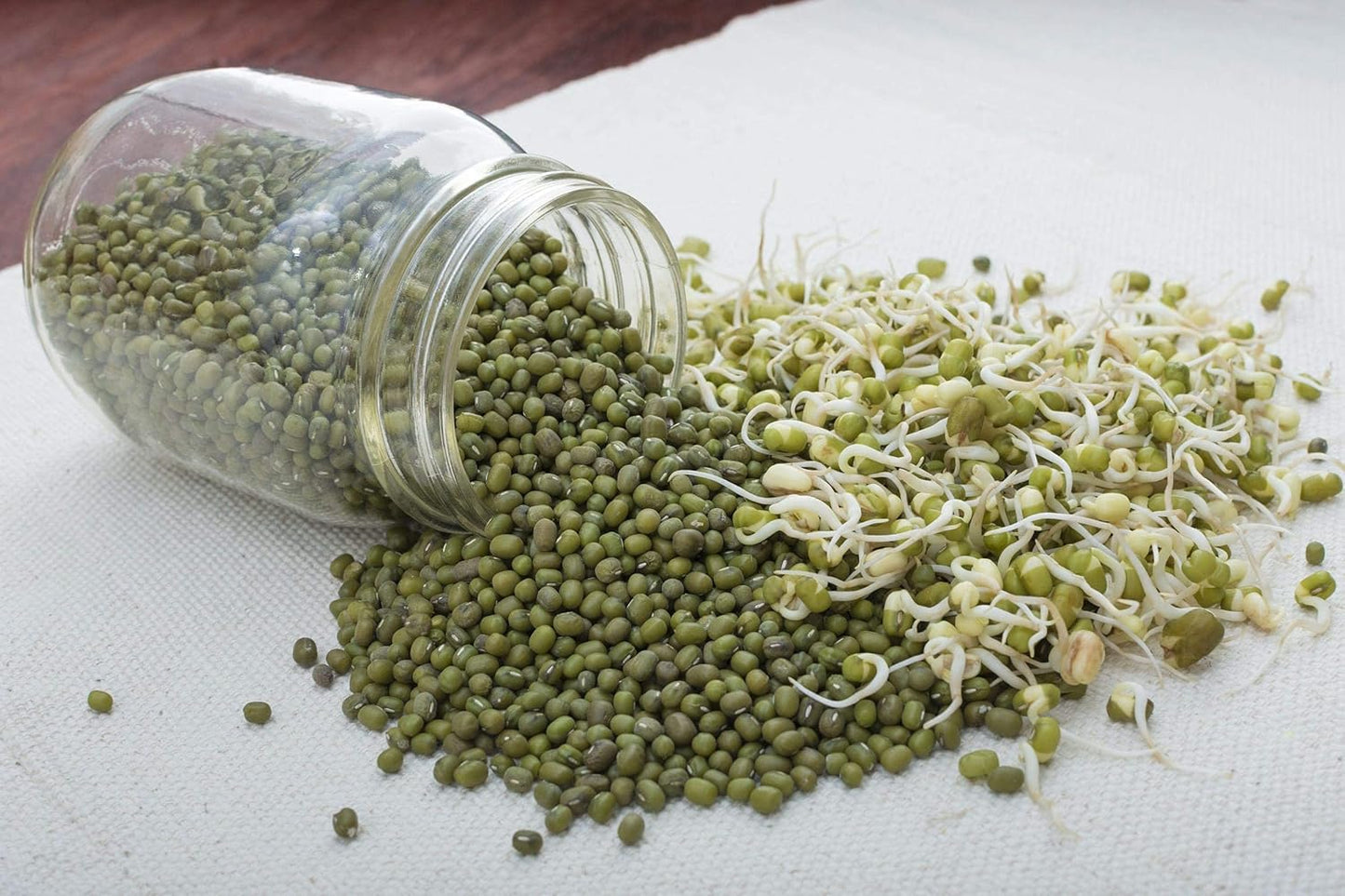 organic-mung-beans-8oz---non-gmo-whole-dried-green-gram---sproutable-kosher-sirtfood---high-fiber-protein-5