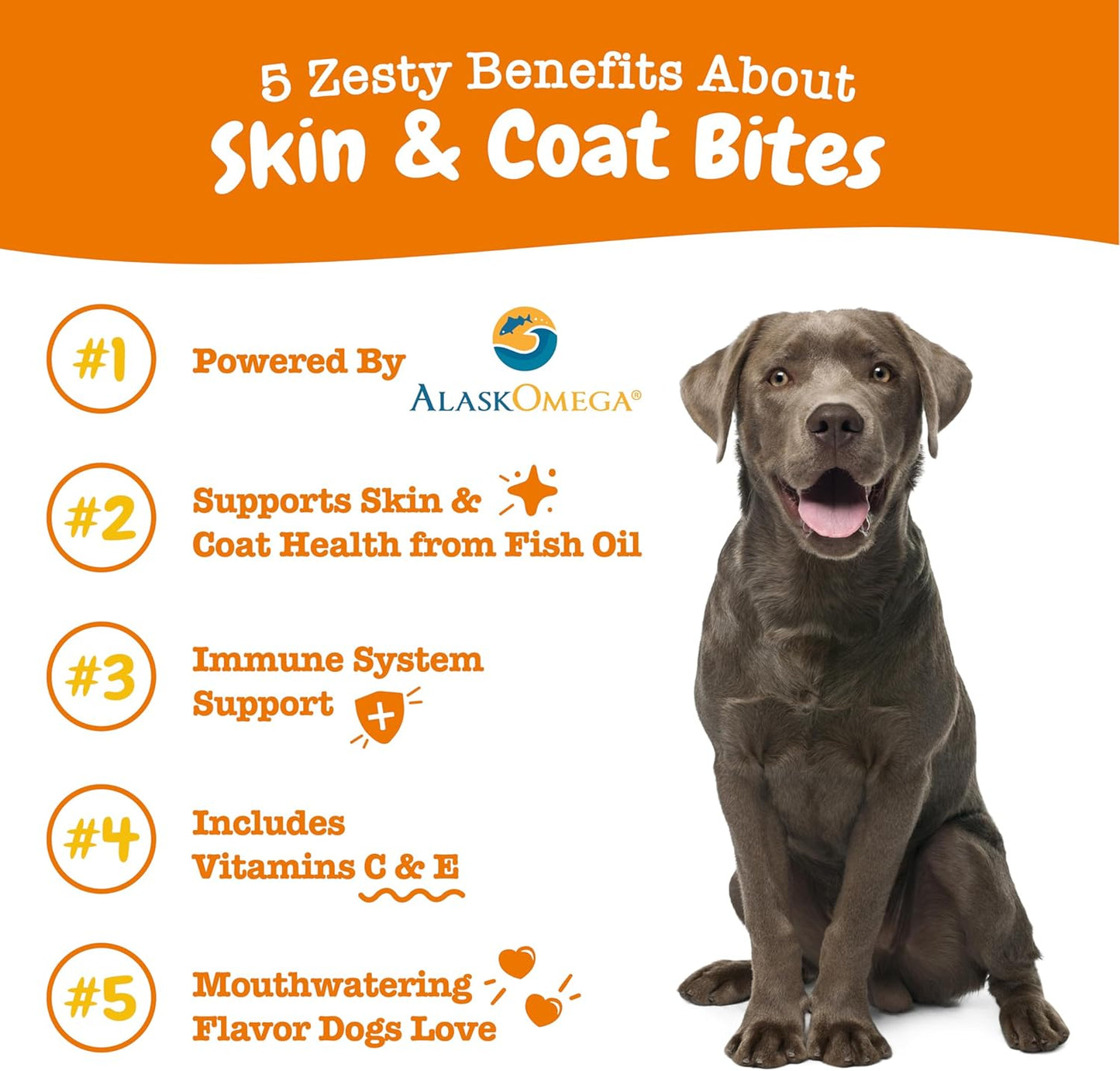 omega-3-fish-oil-soft-chews-for-dogs-with-epa-dha---skin-and-coat-supplement-for-itching-relief---bacon-flavored---90ct-2