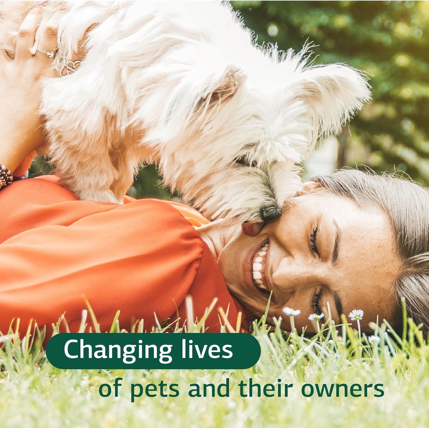 standard-process-canine-skin-and-adrenal-gland-support-supplement---immune-and-liver-health-powder-for-dogs---30g-6