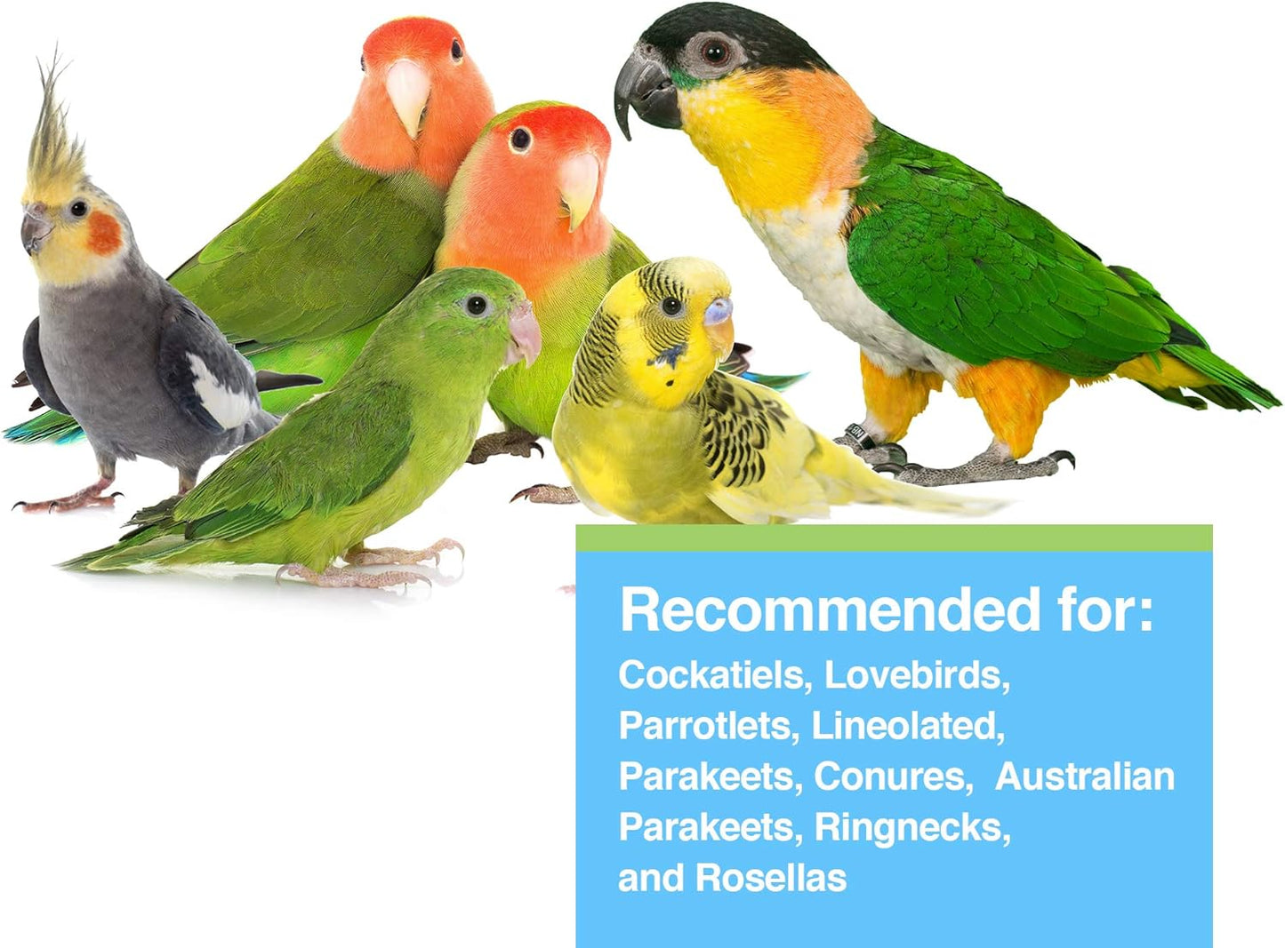 hagen-hari-tropimix-parrot-food-for-cockatiels-and-lovebirds-8-lbs-seeds-fruit-vegetables-vitamins-amino-acids-3