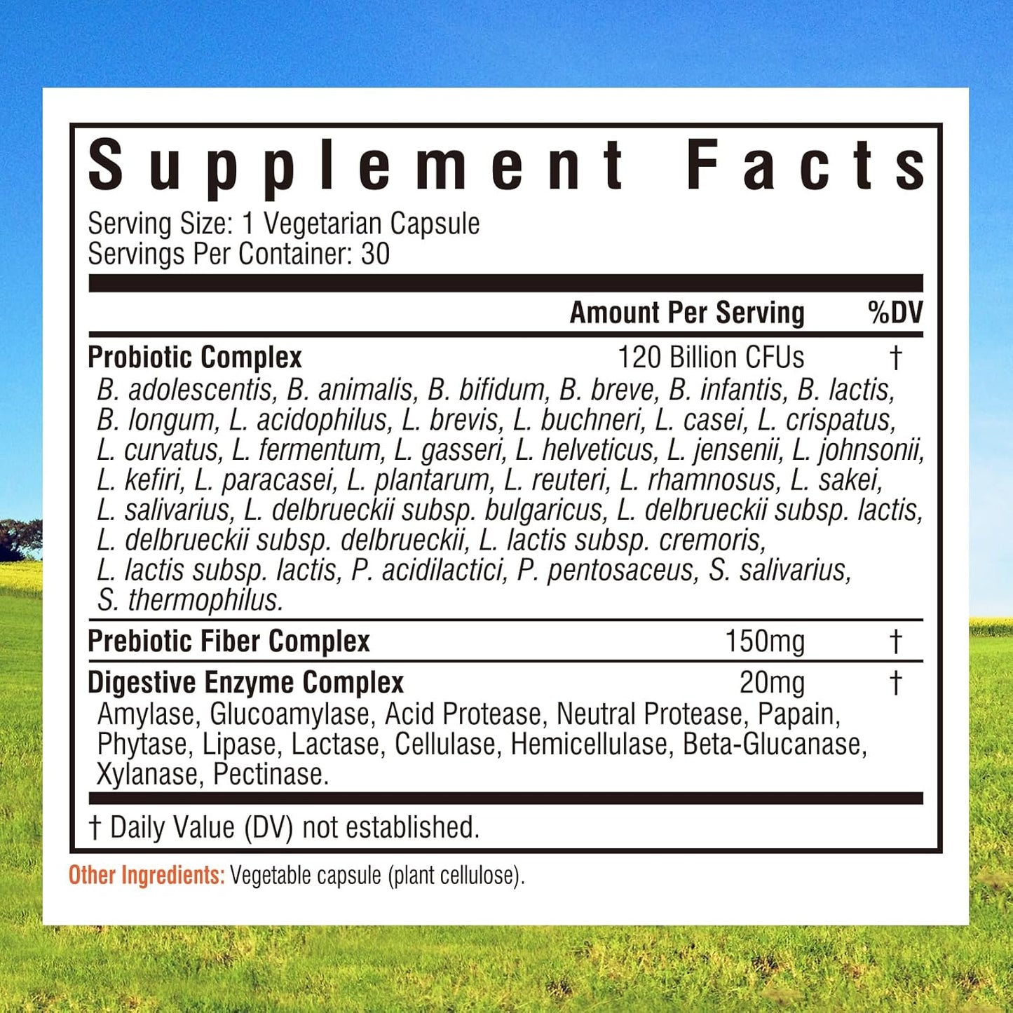 high-potency-probiotics-with-prebiotics-digestive-enzymes---120-billion-cfus-34-strains-for-immune-digestive-health---delayed-release-shelf-stable---30-vegan-capsules-for-men-women-2