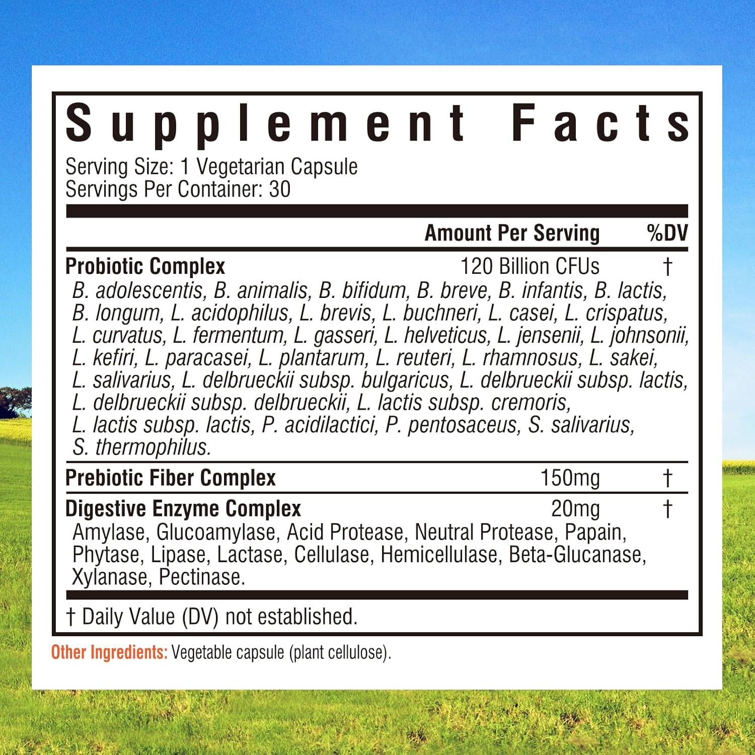 high-potency-probiotics-with-prebiotics-digestive-enzymes---120-billion-cfus-34-strains-for-immune-digestive-health---delayed-release-shelf-stable---30-vegan-capsules-for-men-women-2