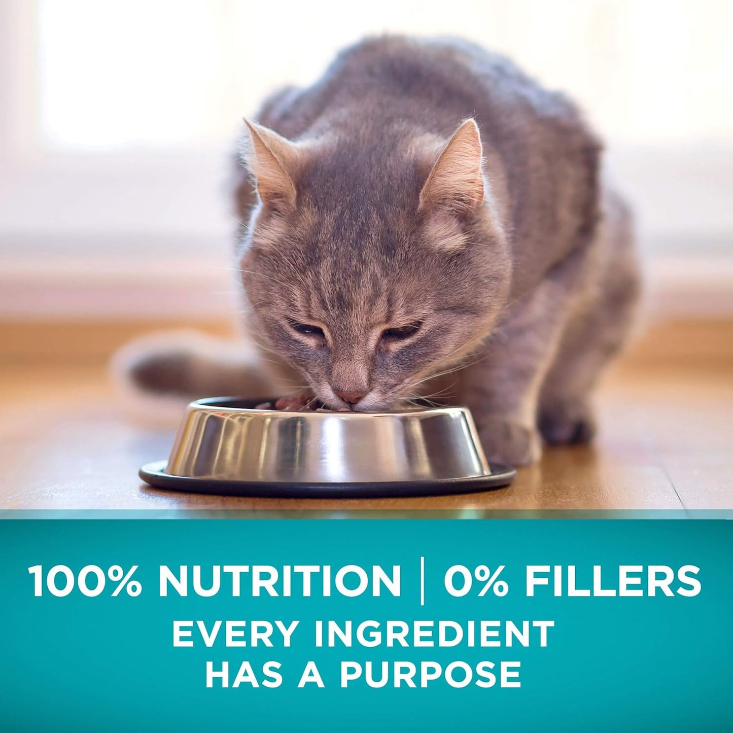 purina-one-true-instinct-grain-free-dry-cat-food-high-protein-formula-with-real-chicken---63-lb-bag-9