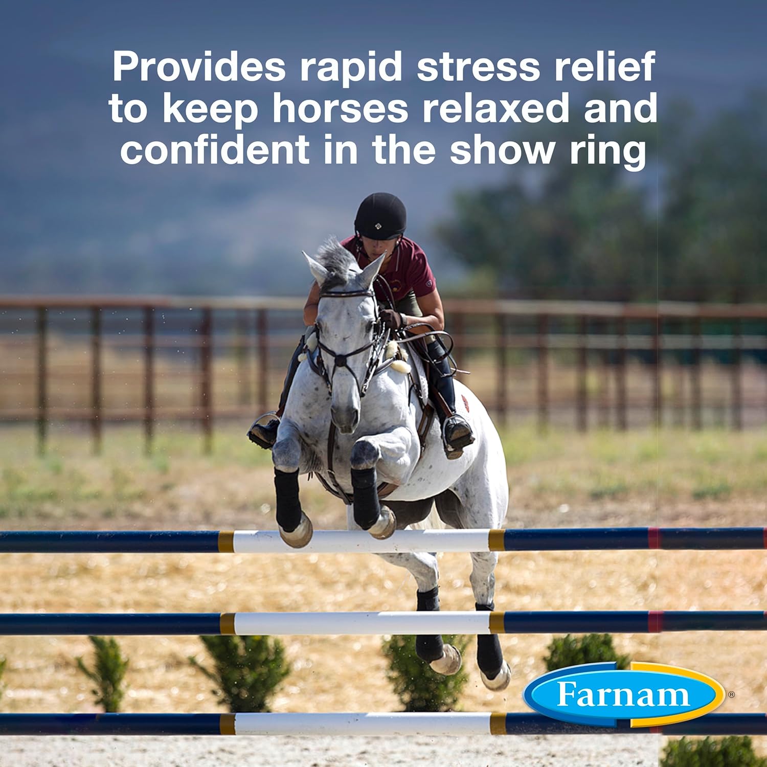 farnam-quietex-show-calming-paste-for-nervous-horses-in-the-show-ring---30-cc-2