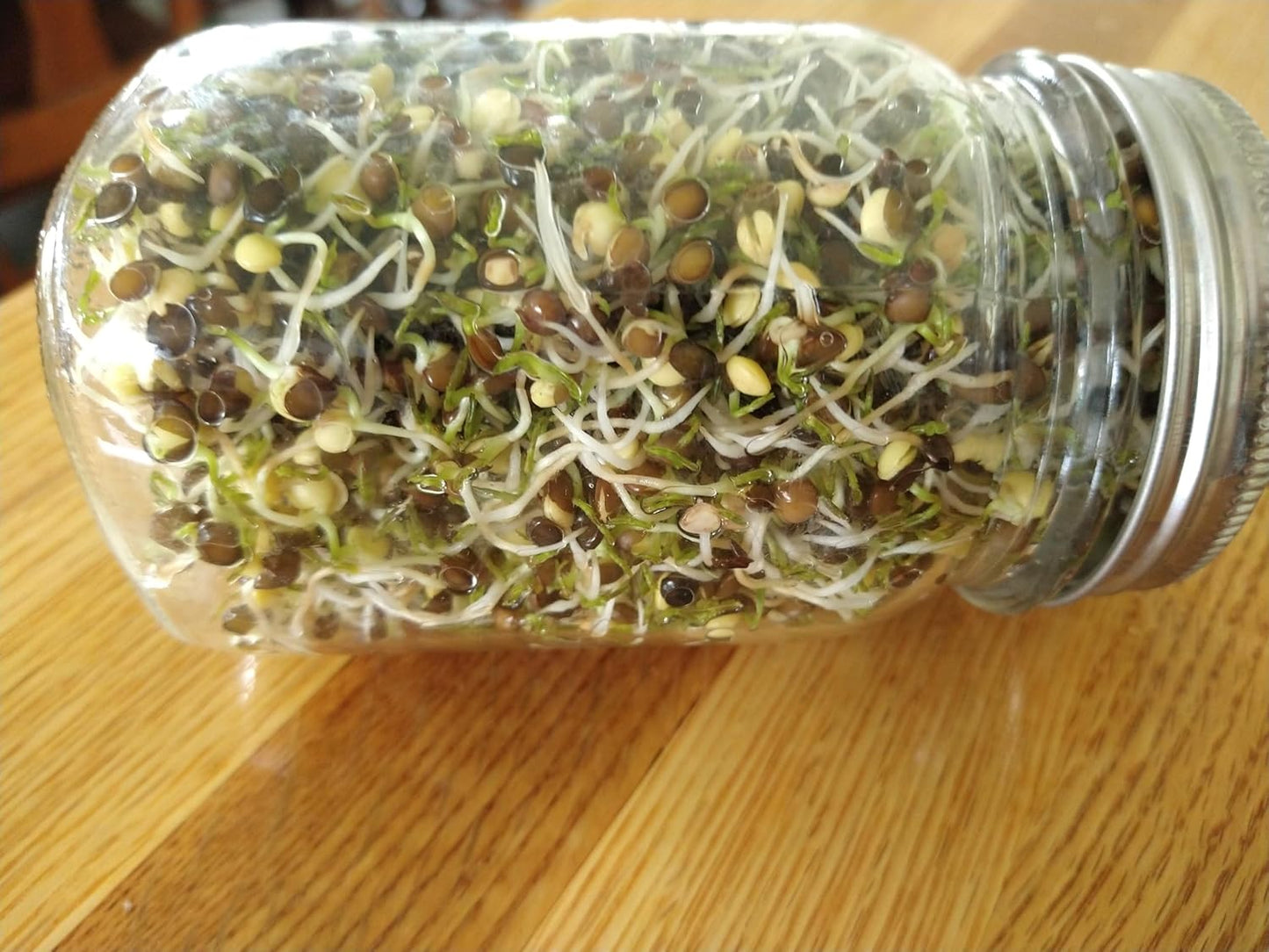 organic-black-beluga-lentils-bulk-5-pounds---non-gmo-whole-legumes-usa-product---mulberry-lane-farms---usda-certified-2