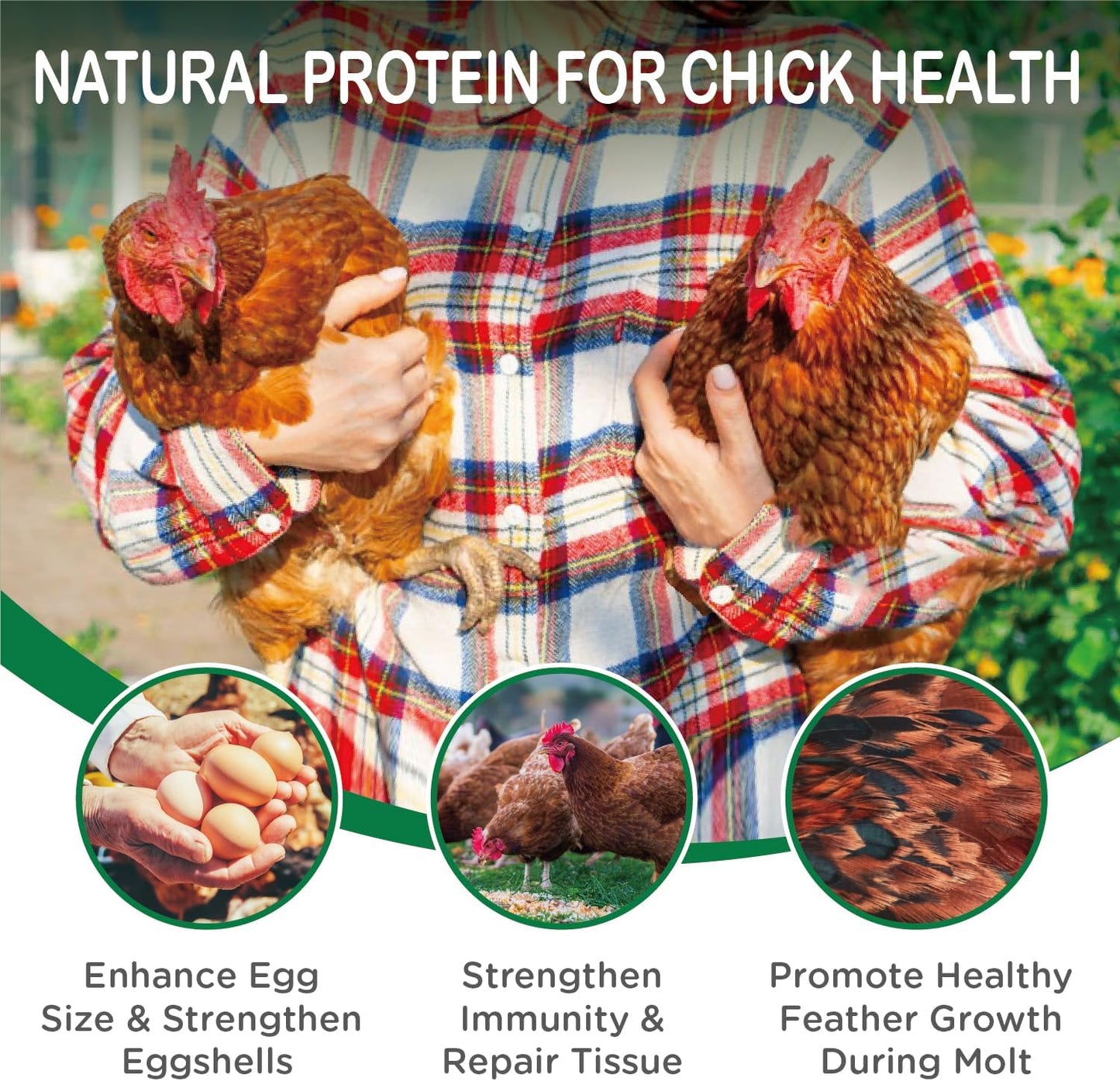 5-lbs-auciccoo-ecoproento-dried-black-soldier-fly-larvae---high-calcium-treats-for-chicken-duck-wild-bird-turtle---non-gmo-bsf-larvae---natural-snack-with-85x-more-calcium-than-mealworms-5