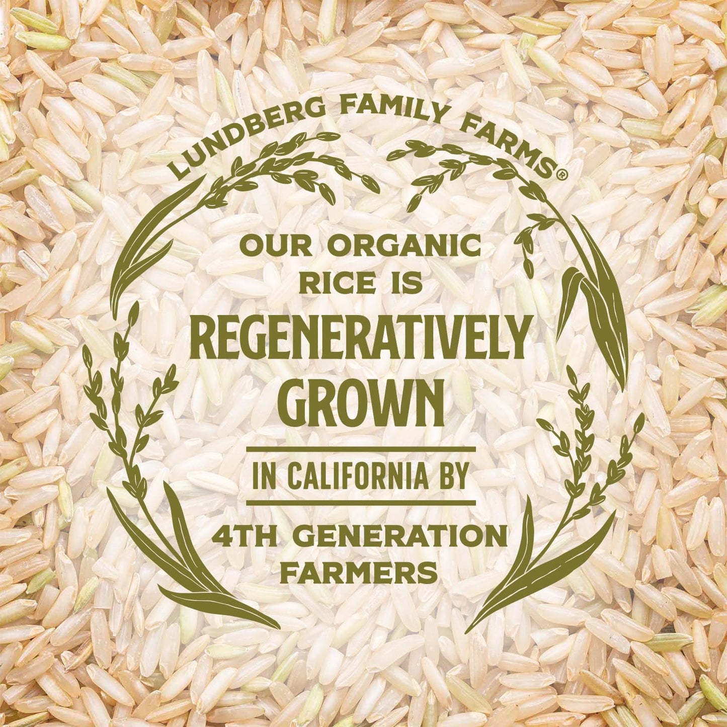 organic-sprouted-brown-basmati-rice---nutty-nutritious-california-grown-rice-ready-in-30-minutes-pantry-staple-16-oz-pack-of-6-7