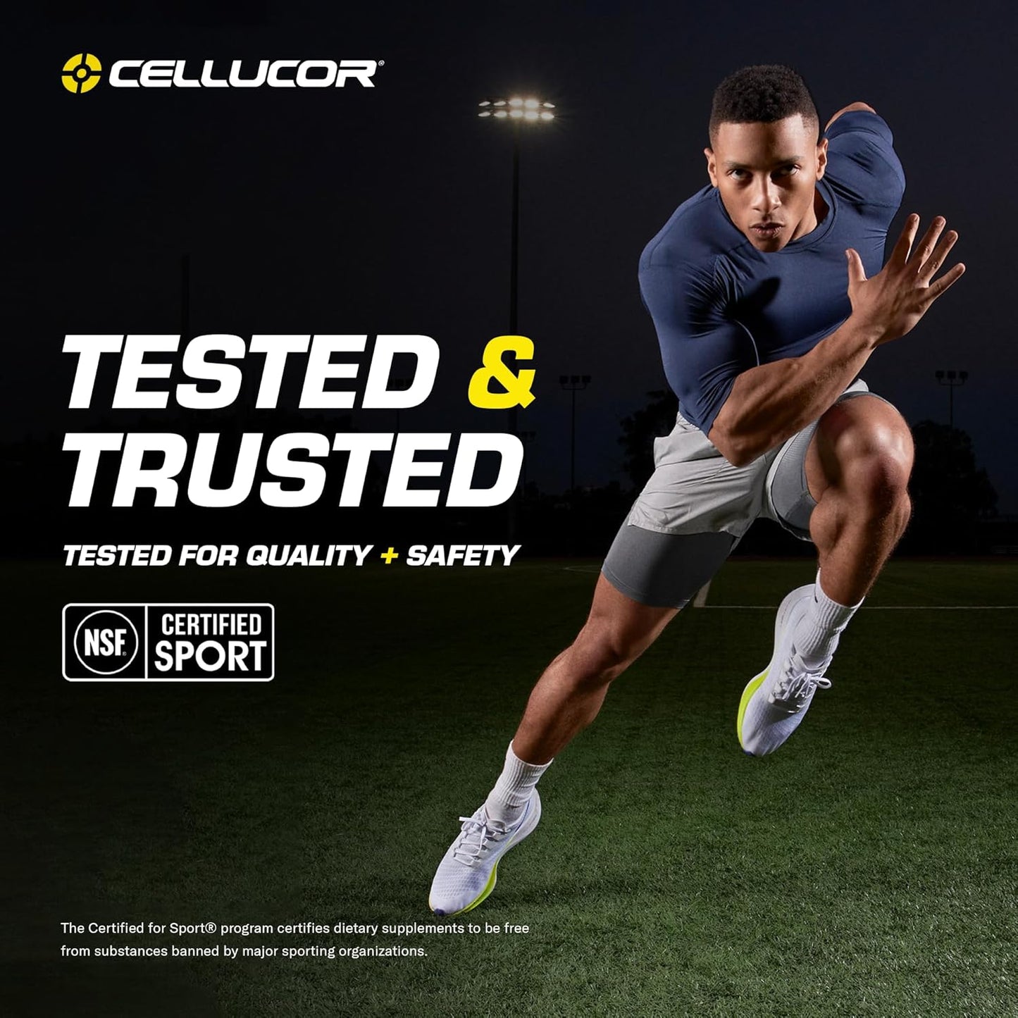 cellucor-bcaa-sport-cherry-limeade-powder---30-servings-for-hydration-recovery-6